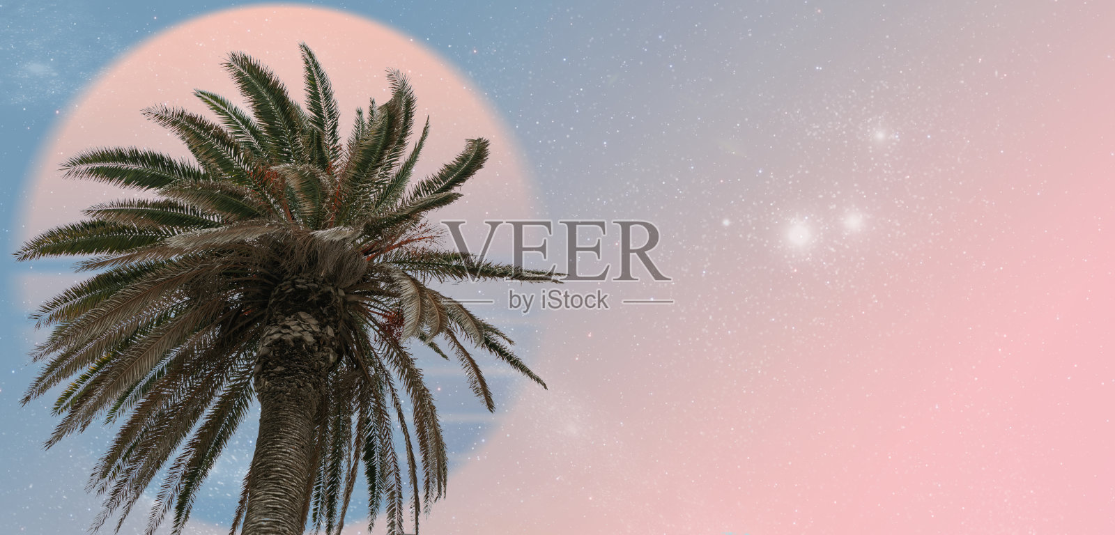 美丽抽象超现实景观棕榈树拼贴概念，当代色彩和情绪的社会背景。照片摄影图片