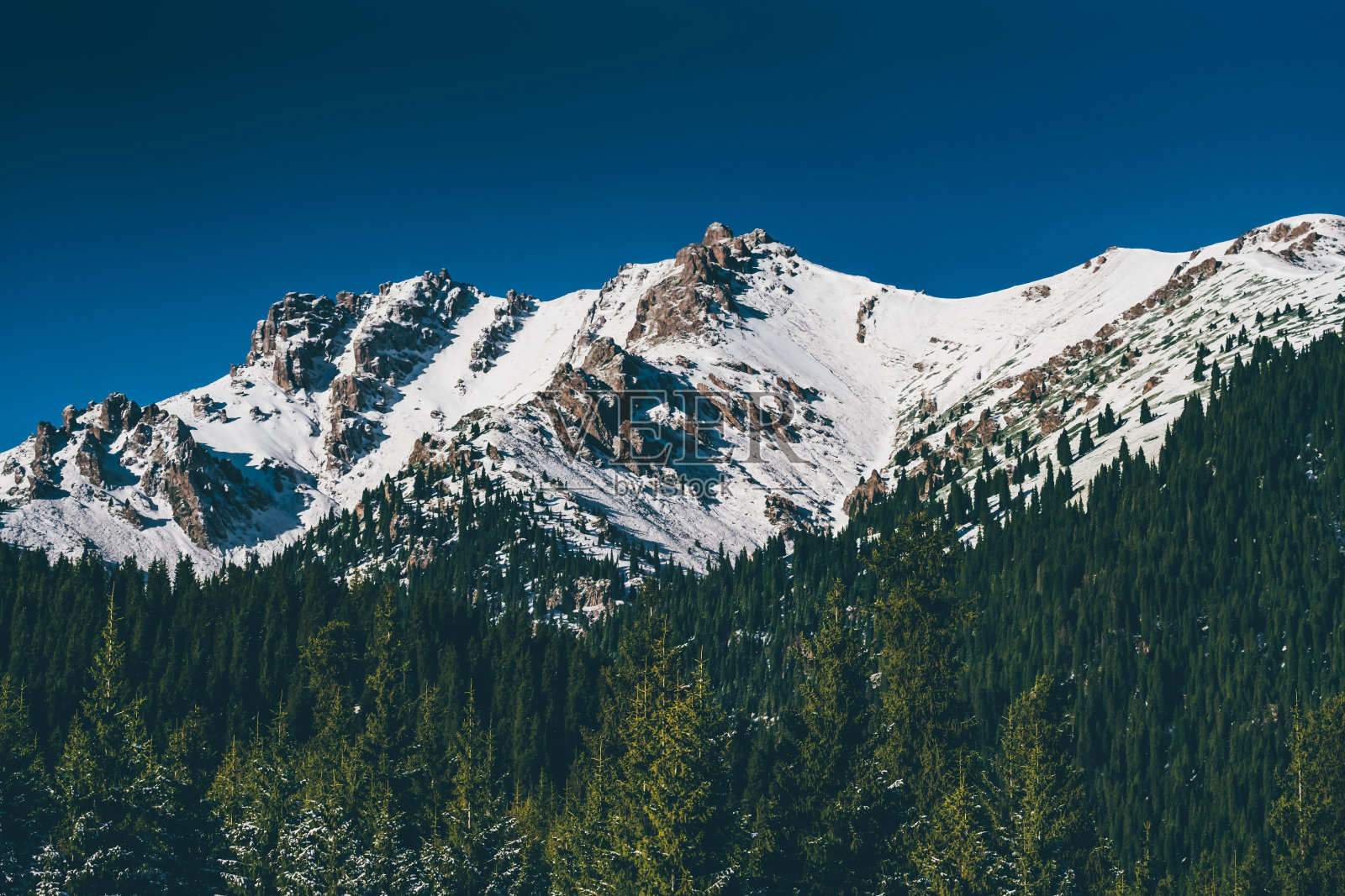 中国新疆江布拉克风景名胜区照片摄影图片