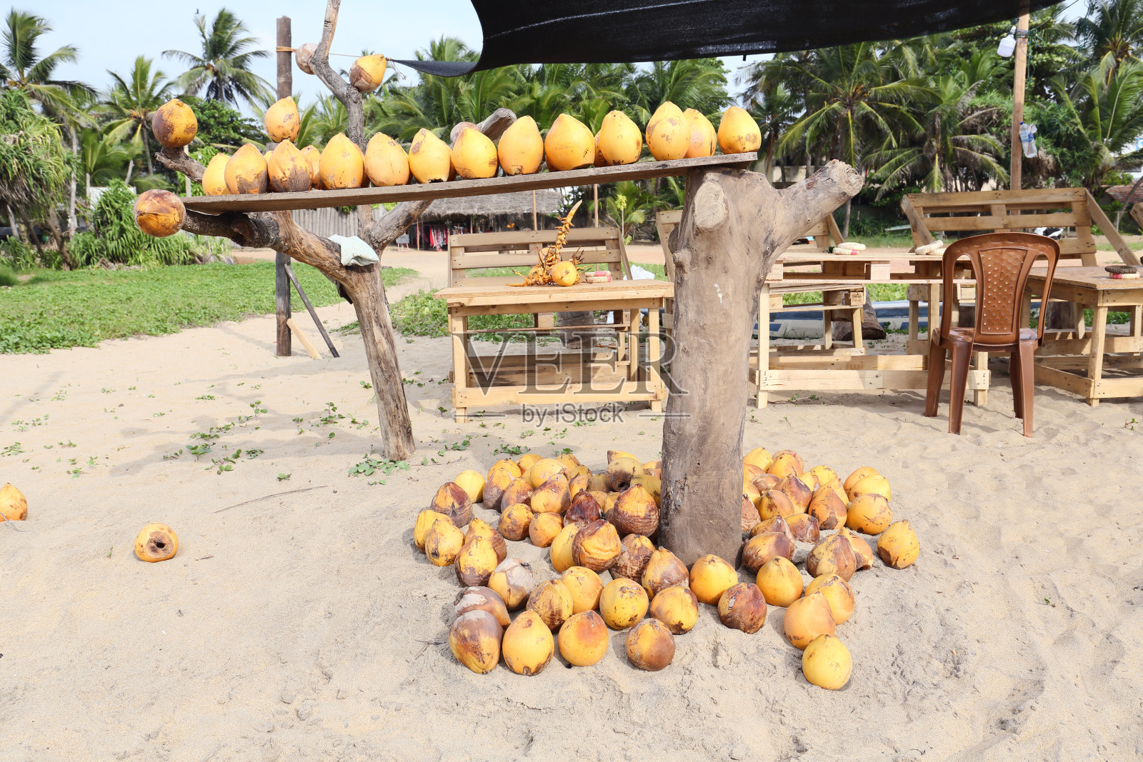 新鲜椰子出售照片摄影图片