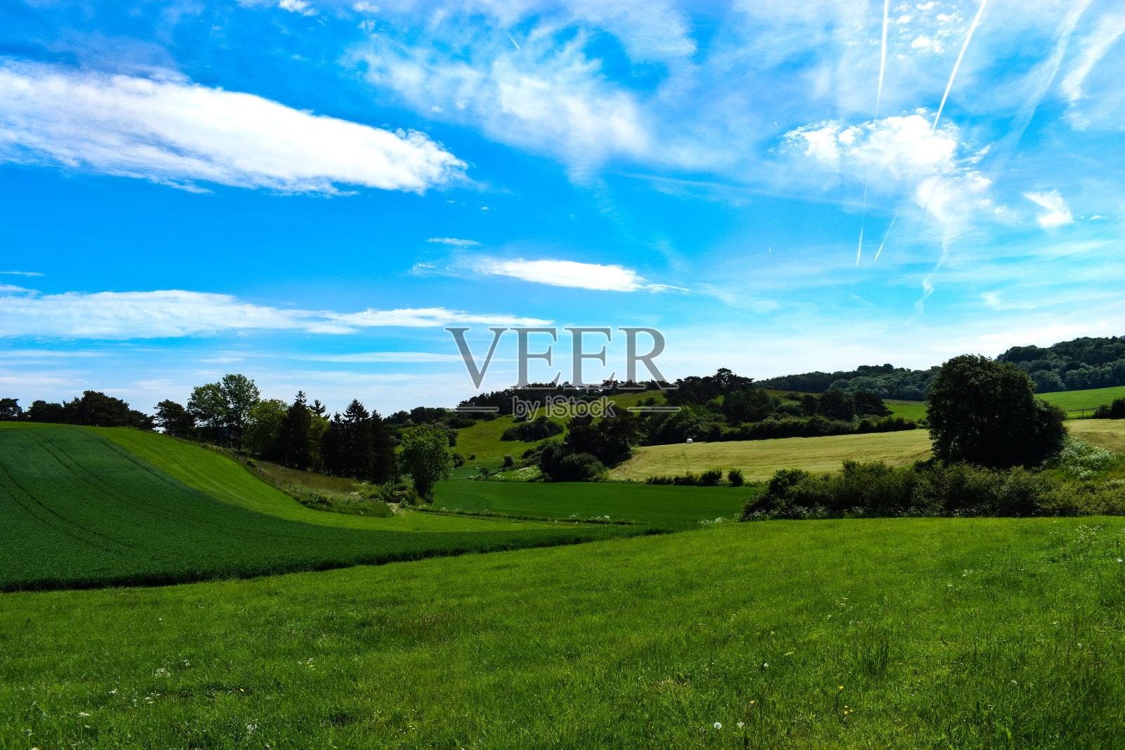 美丽的春天风景在韦尔在艾菲尔照片摄影图片