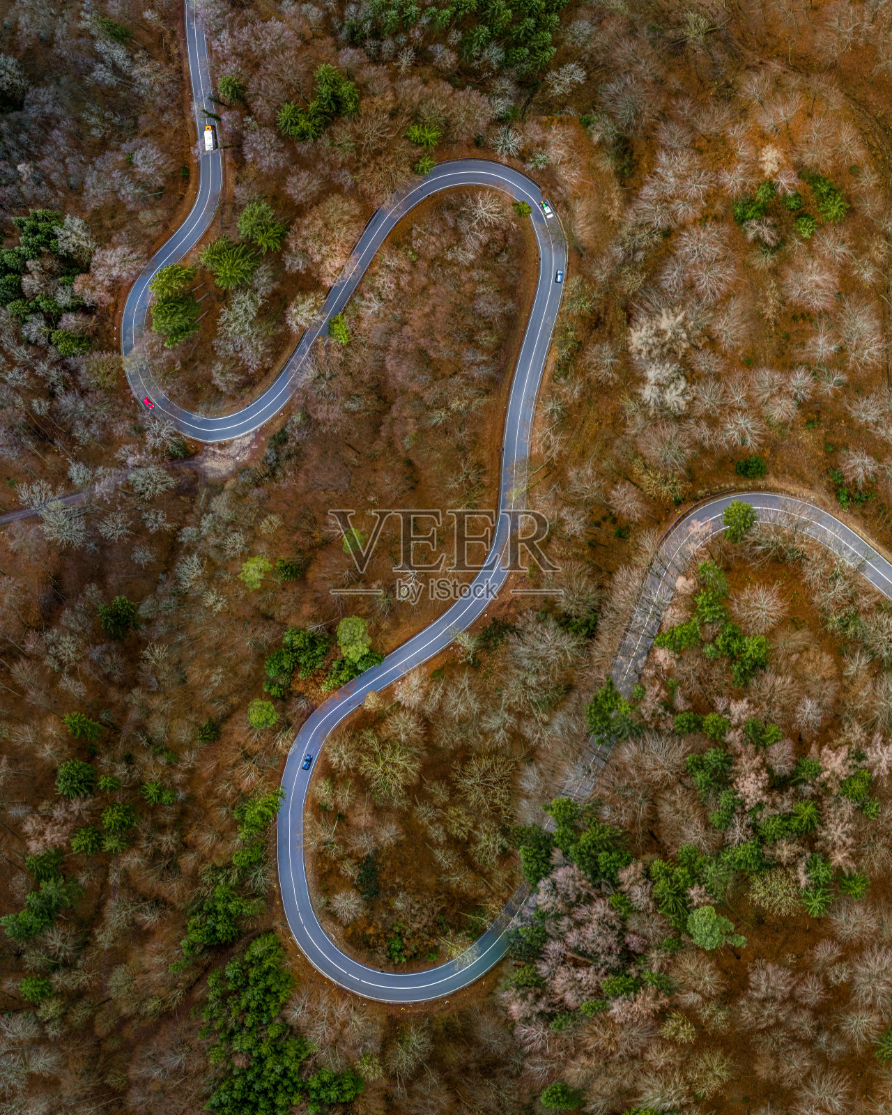 鸟瞰图的秋天森林与弯曲的道路。德国巴伐利亚的一架无人机从上面拍下的。照片摄影图片