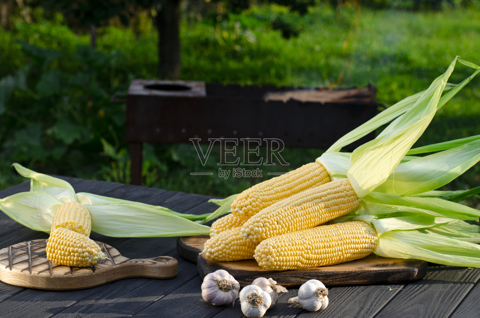 新鲜的玉米和大蒜躺在花园里的一张木桌上照片摄影图片