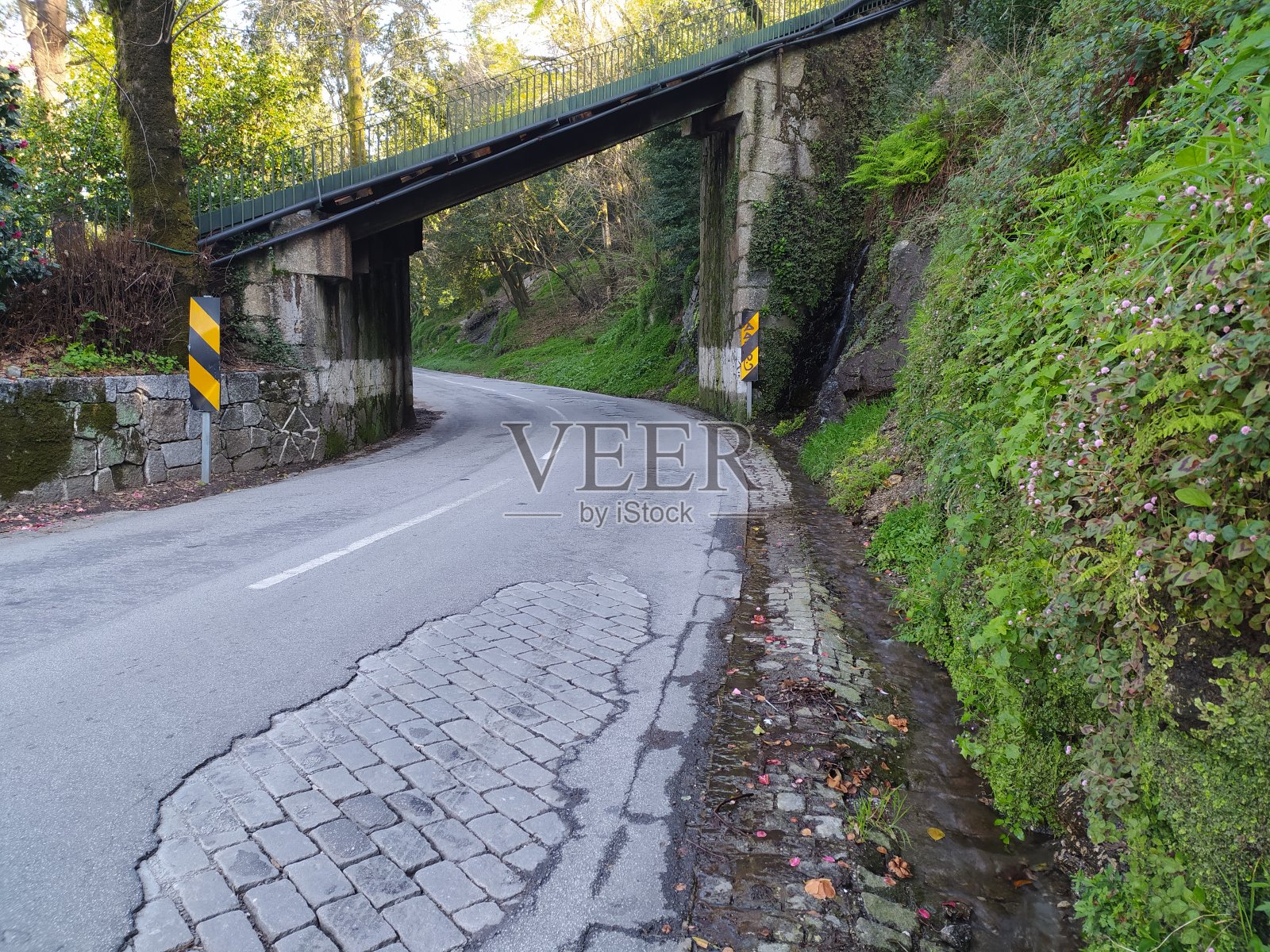 自然的街道照片摄影图片