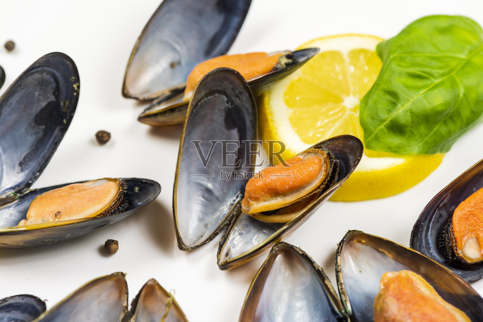 海鲜:白色背景上孤立的贻贝照片摄影图片