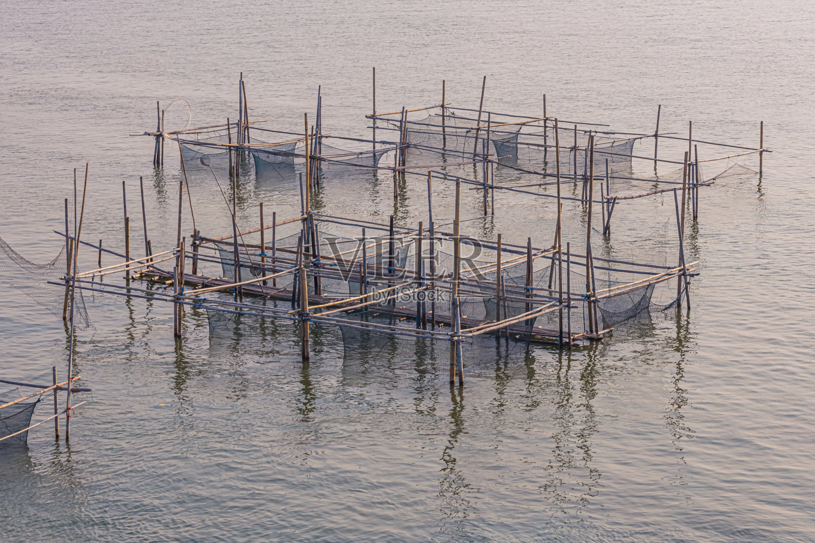 牡蛎的农场照片摄影图片