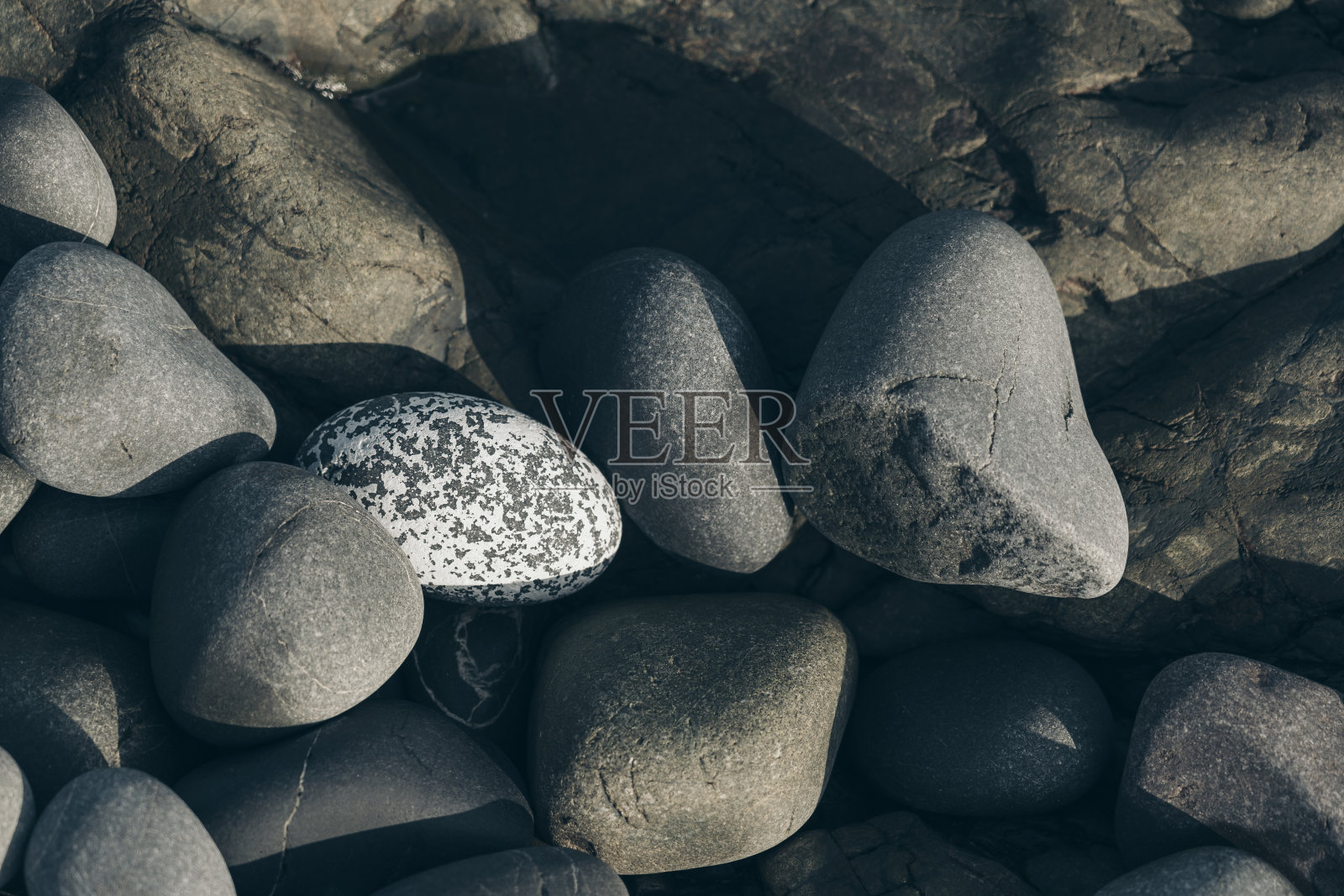 光滑的圆卵石;自然背景。纹理照片摄影图片