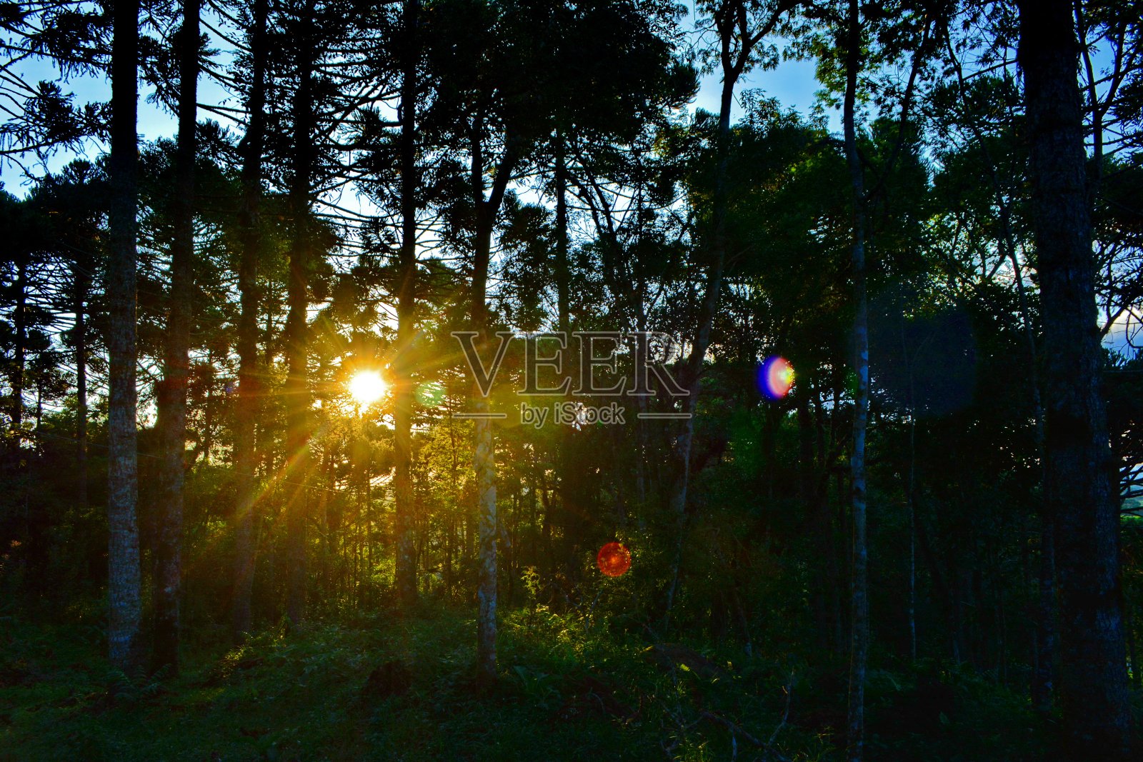 Campo Alegre的黄昏景观照片摄影图片