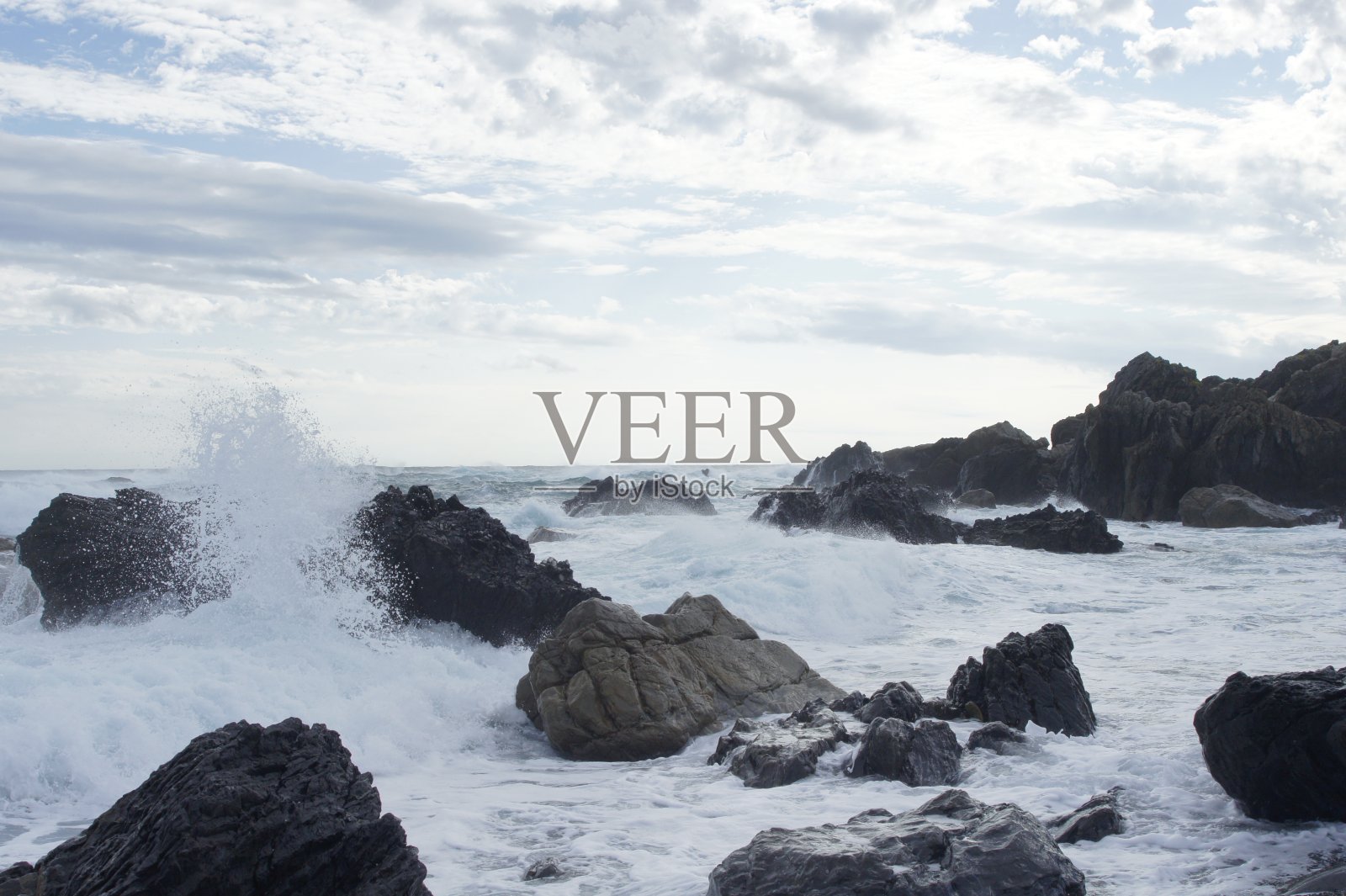 海涌高知照片摄影图片