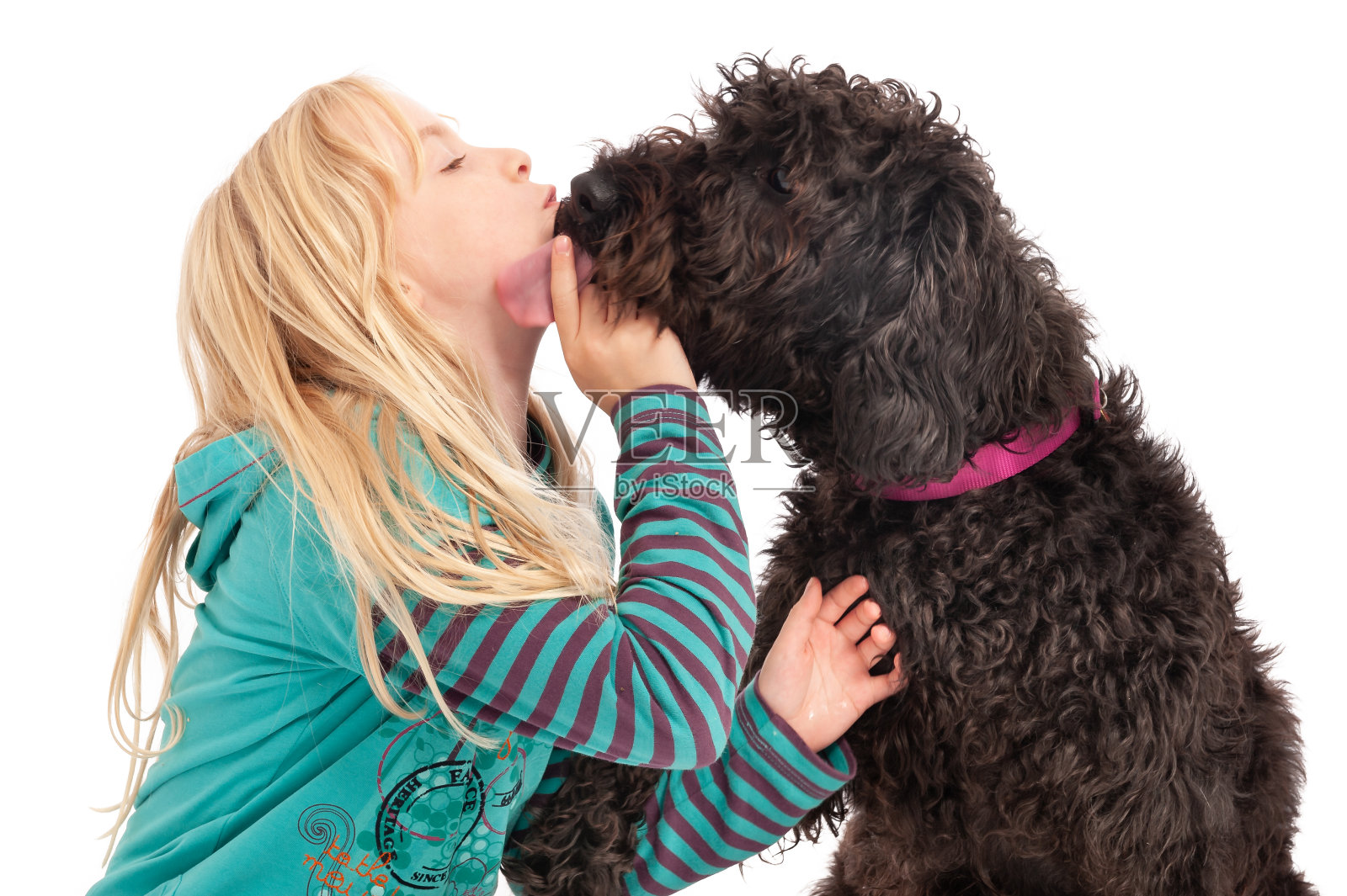 黑色的拉布拉多犬舔着一个金发女郎的脸。孤立在一个白色的工作室背景上照片摄影图片