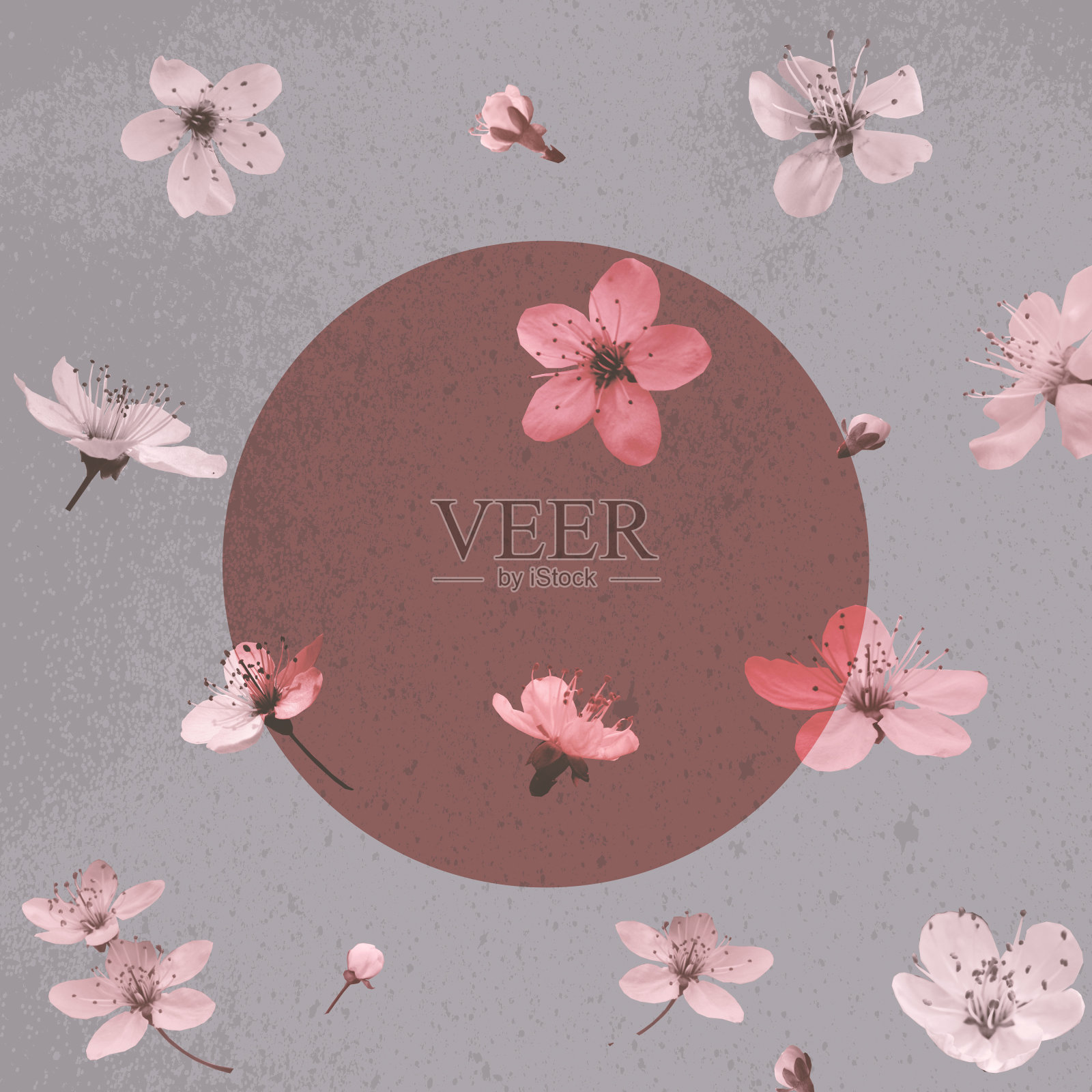 圆形框架，背景与樱桃花在复古的颜色为您的设计插画图片素材