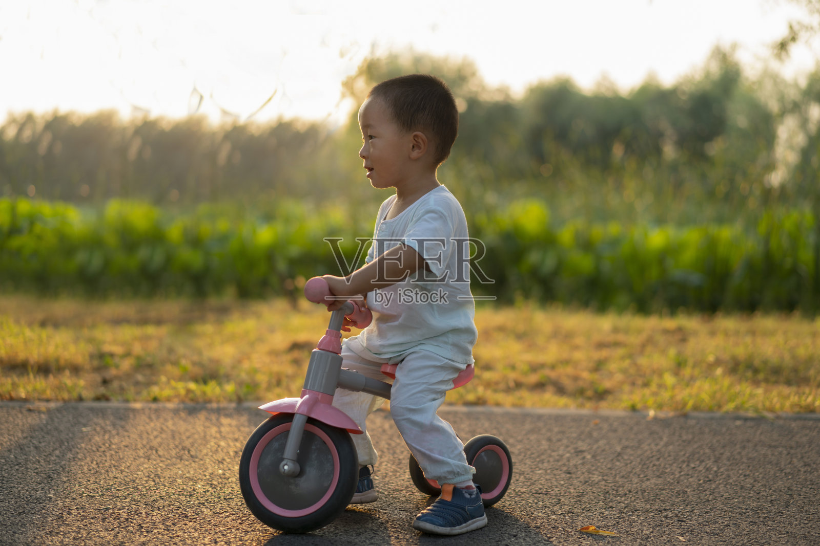 婴儿照片摄影图片