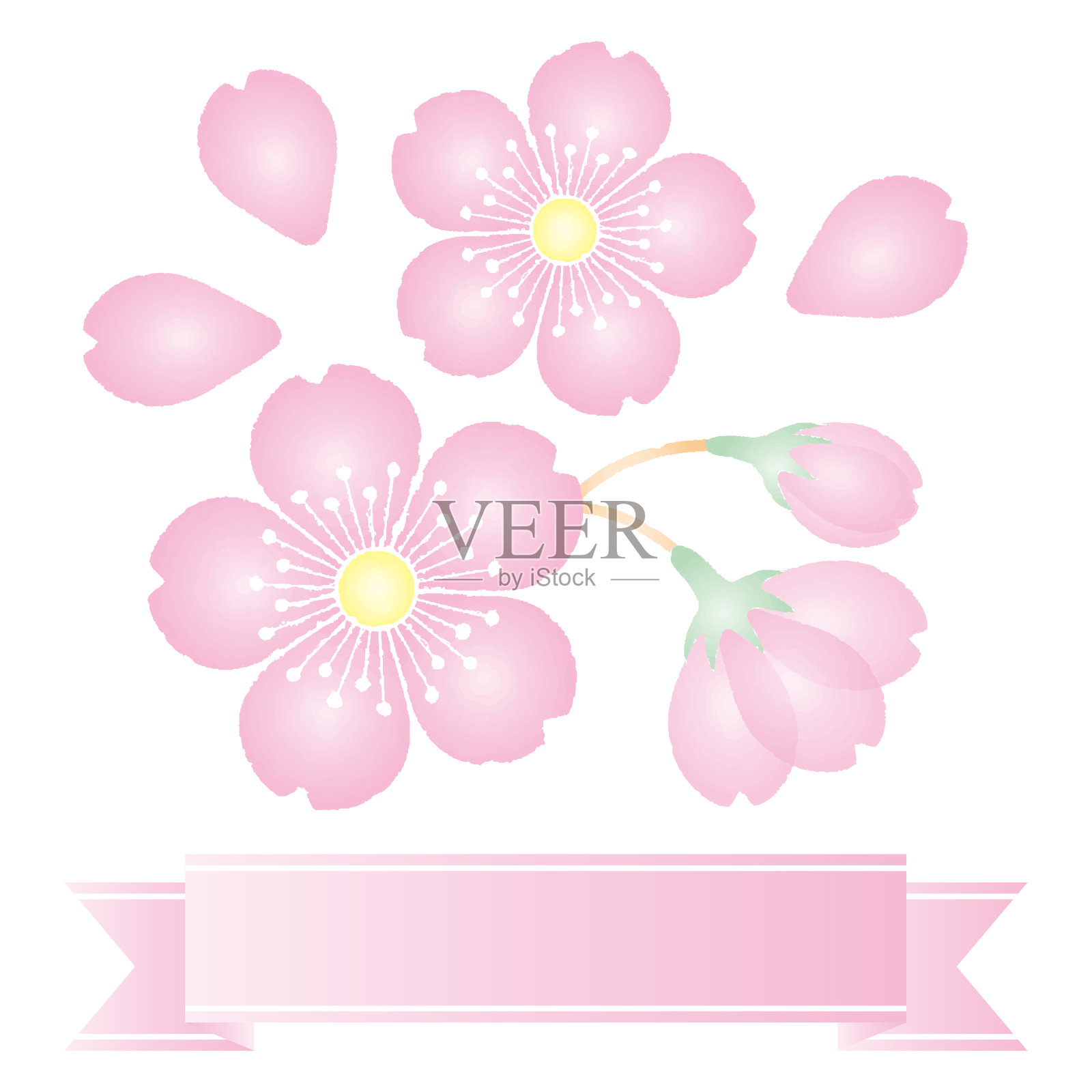 樱花背景材料框架插图矢量插画图片素材