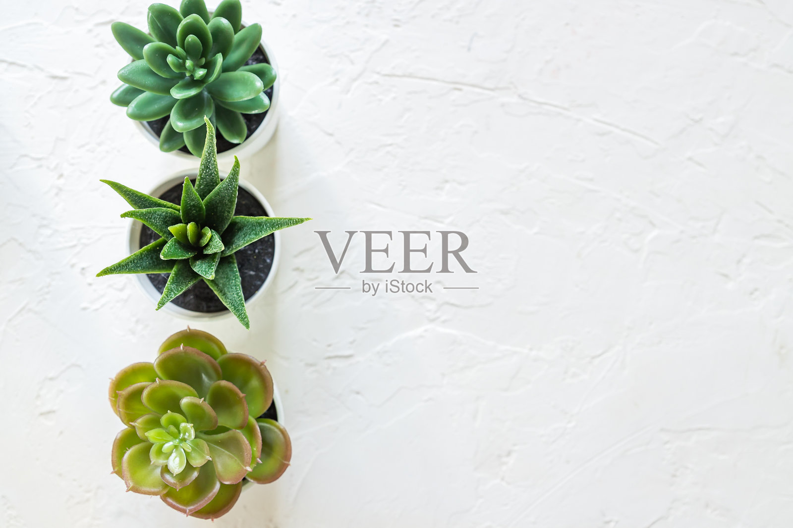 白色盆栽小仙人掌俯视图，混凝土背景，室内装饰，留白照片摄影图片