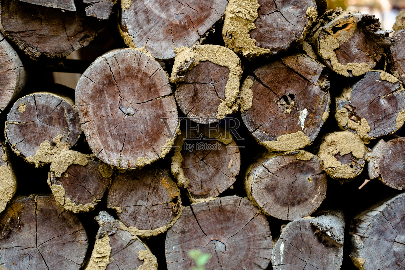采购产品原木，木材-材料，背景，堆叠，堆叠照片摄影图片