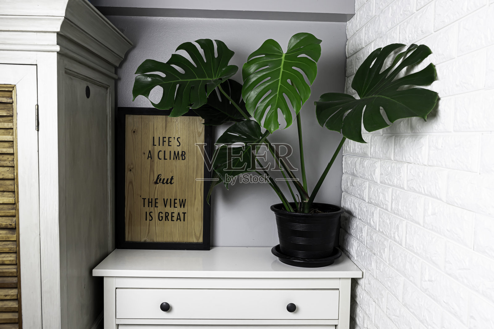 家居园艺用室内植物空气净化，客厅沙发。照片摄影图片