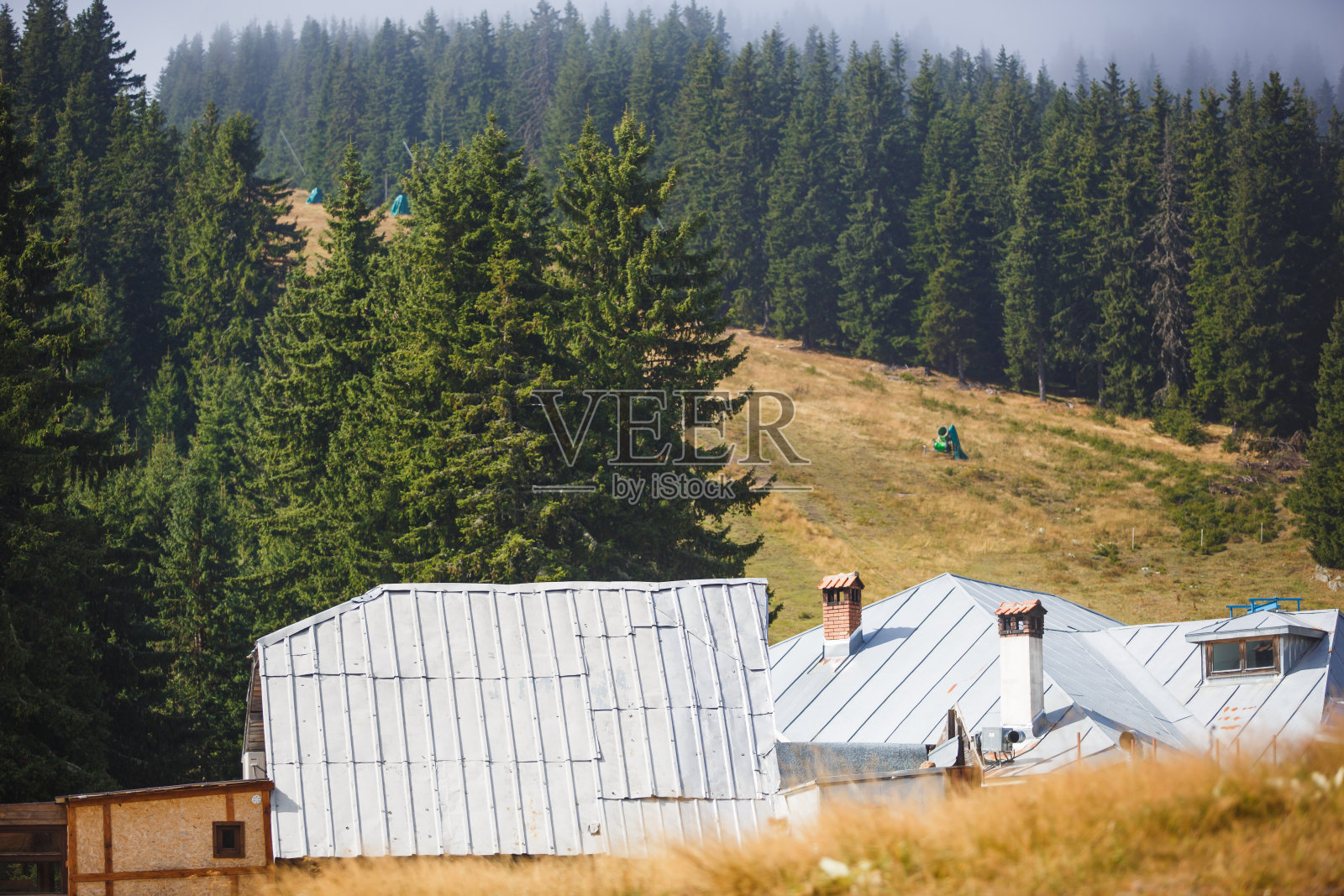 保加利亚的高山与高大的冷杉树的顶部。照片摄影图片