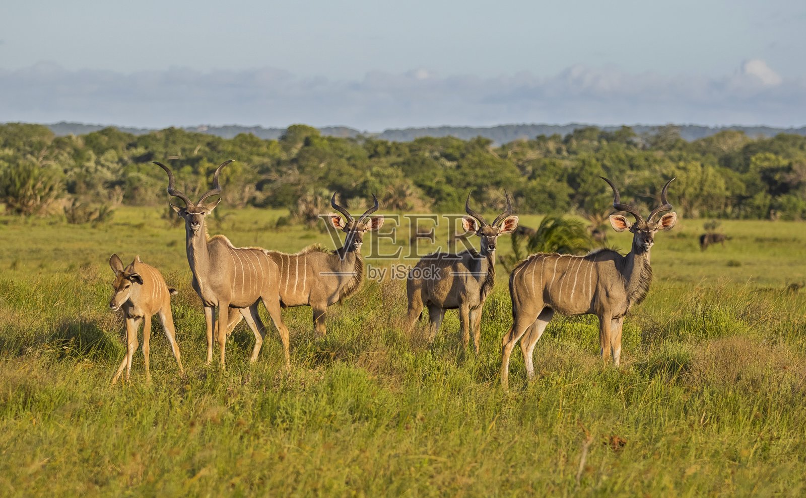 不管怎样,照片摄影图片
