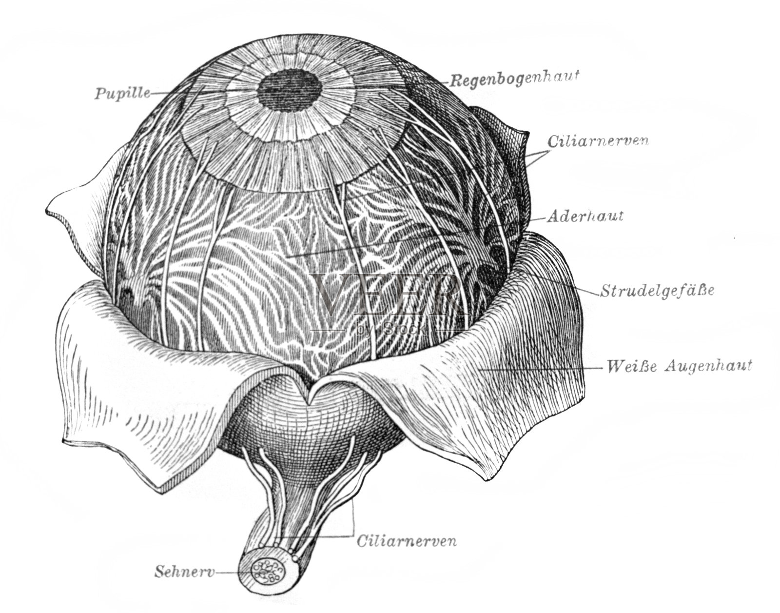 《迈耶斯辞典》，第2卷，1897年，莱比锡插画图片素材