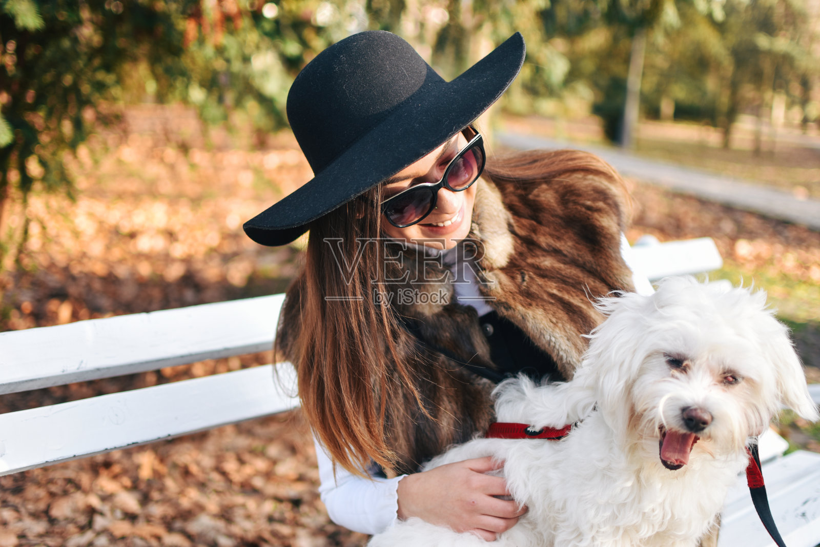 迷人的女孩和白色的小狗照片摄影图片