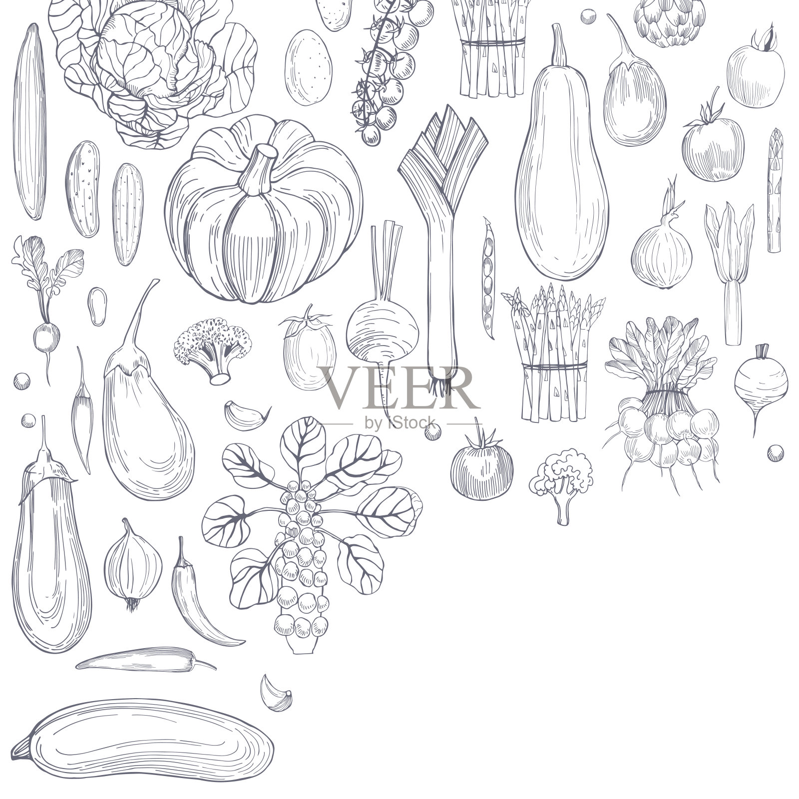 带蔬菜的矢量背景插画图片素材