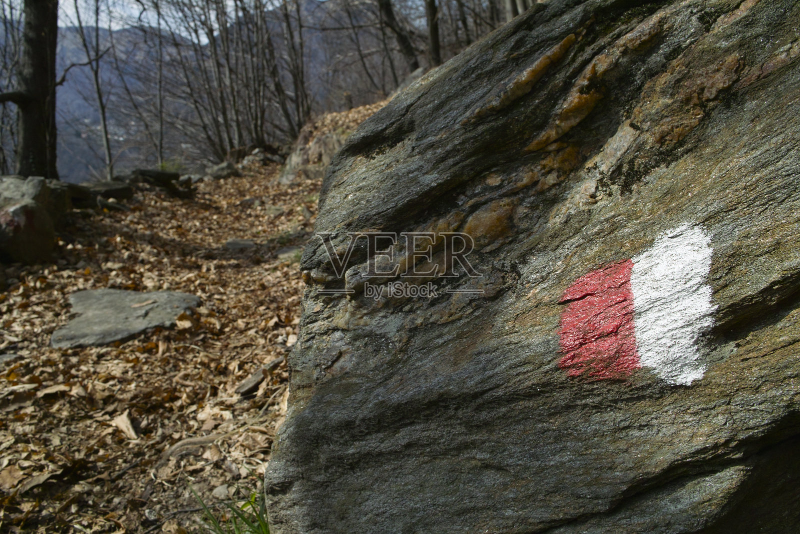 小道照片摄影图片