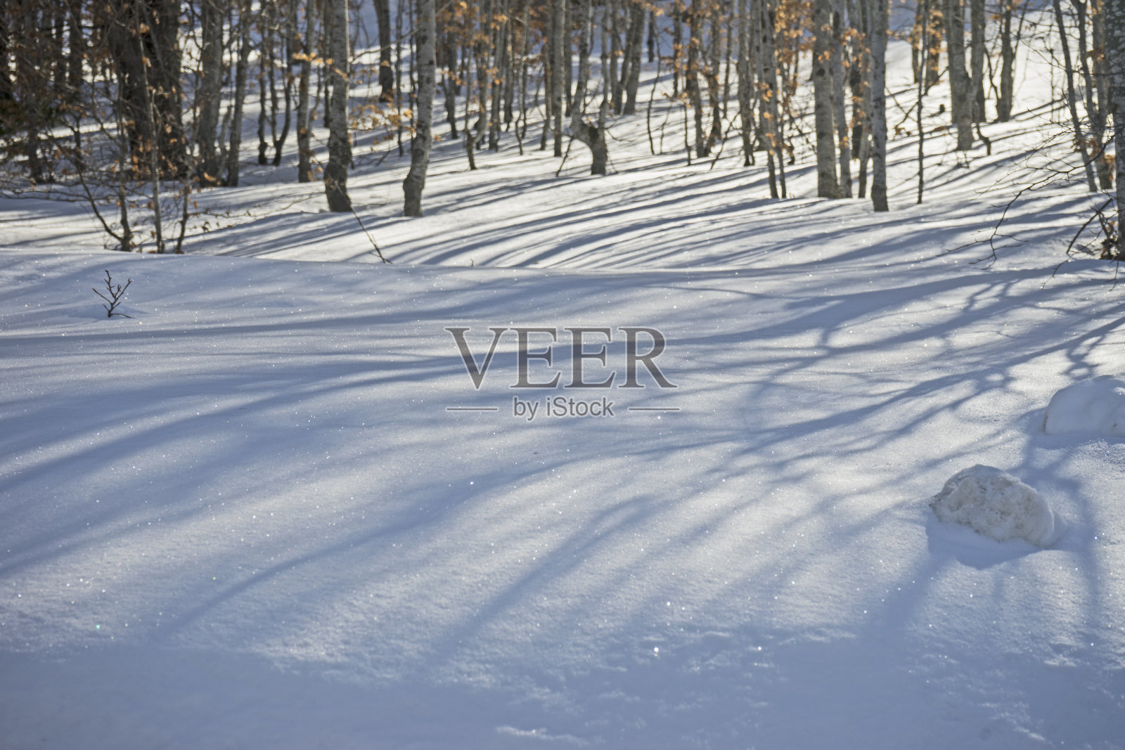 白色背景上的雪纹理照片摄影图片