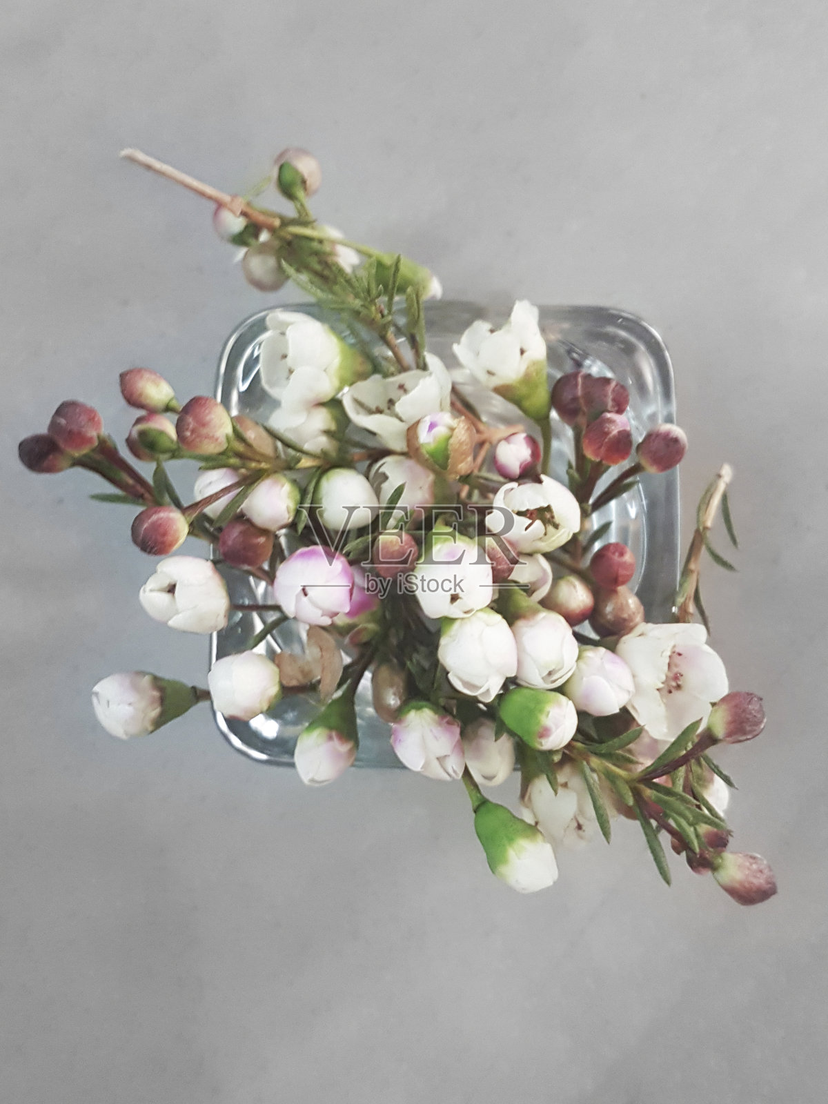 五彩缤纷的花草照片摄影图片