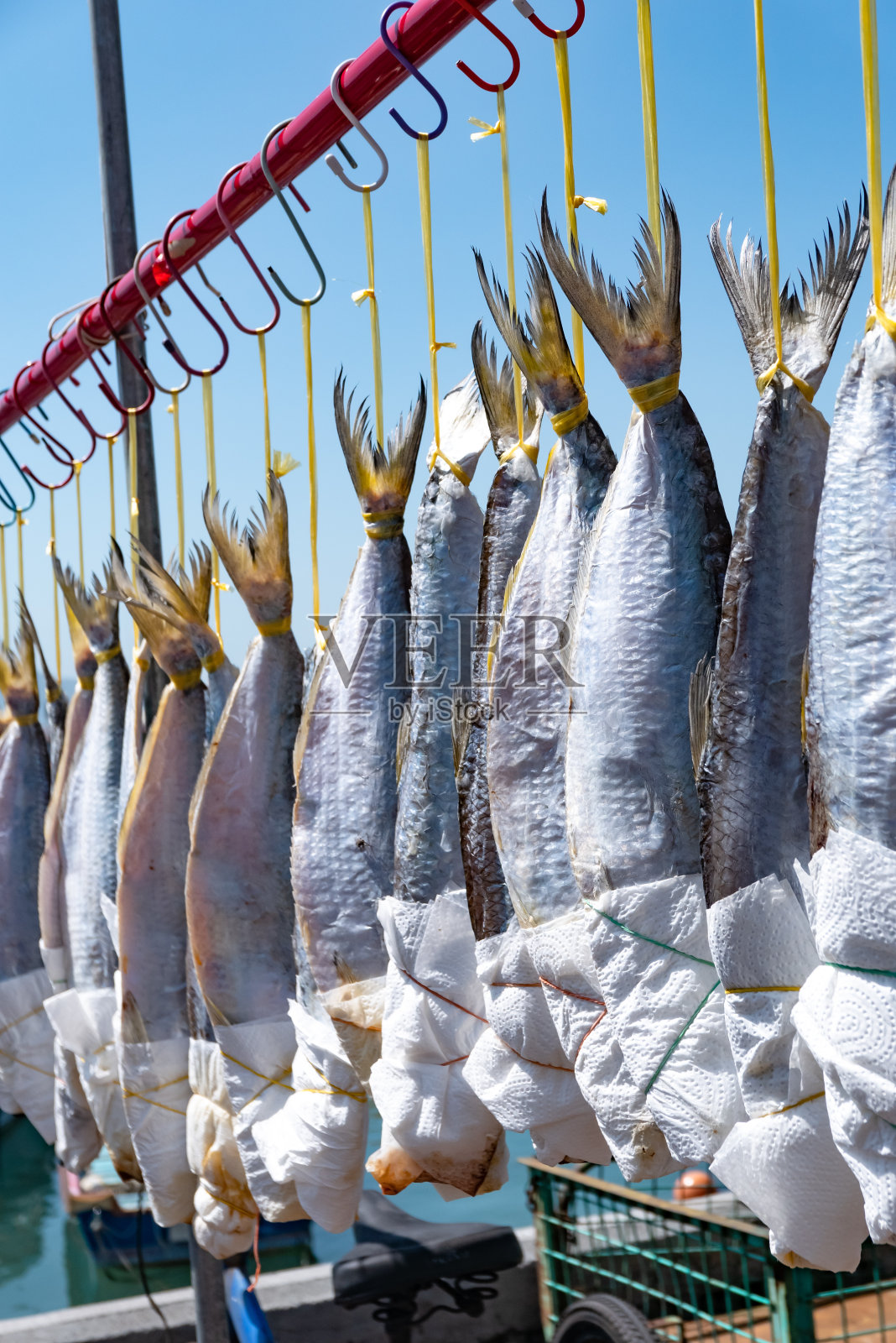 晒鱼，腌制在盐。香港照片摄影图片