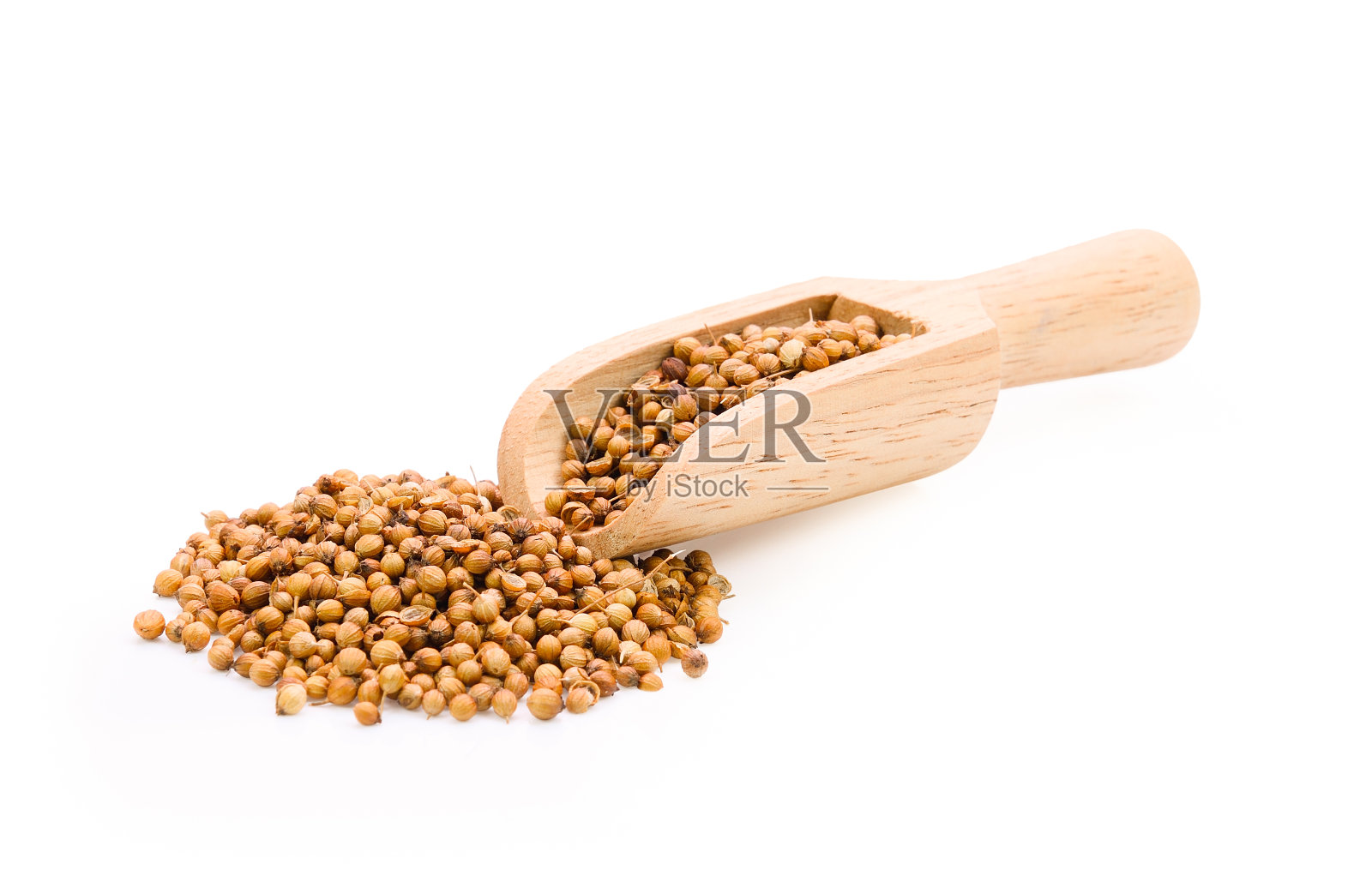 芫荽种子分离在白色背景照片摄影图片