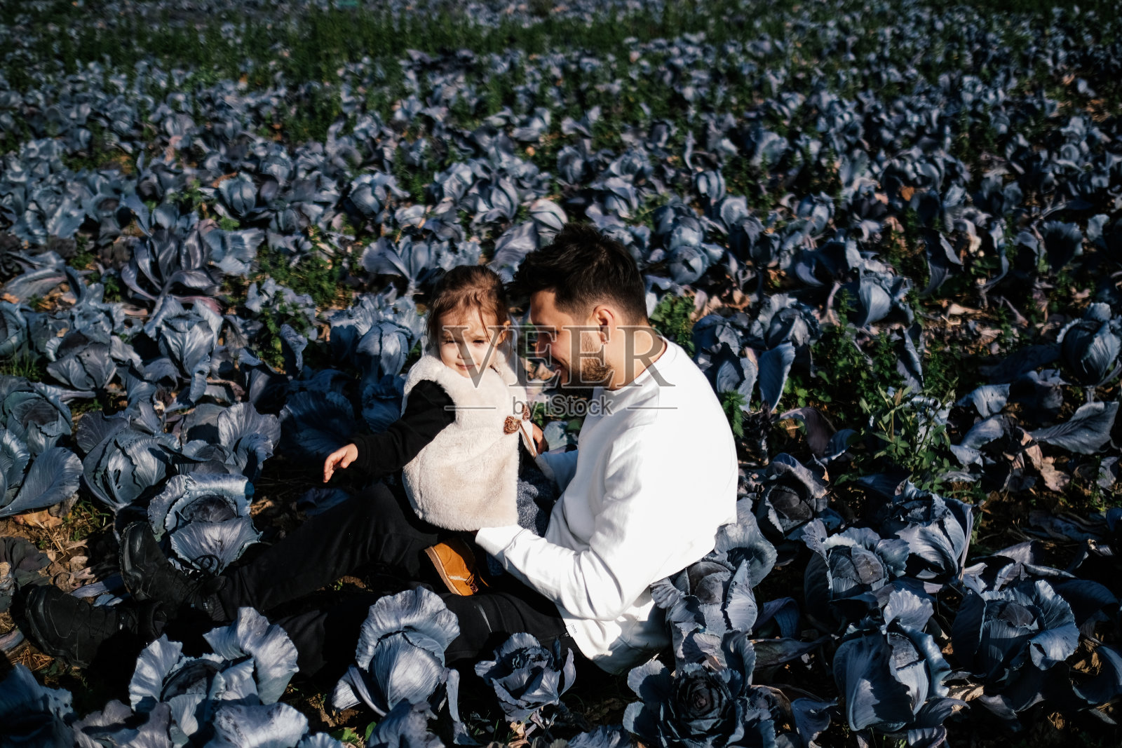 父女在白菜地里玩耍照片摄影图片