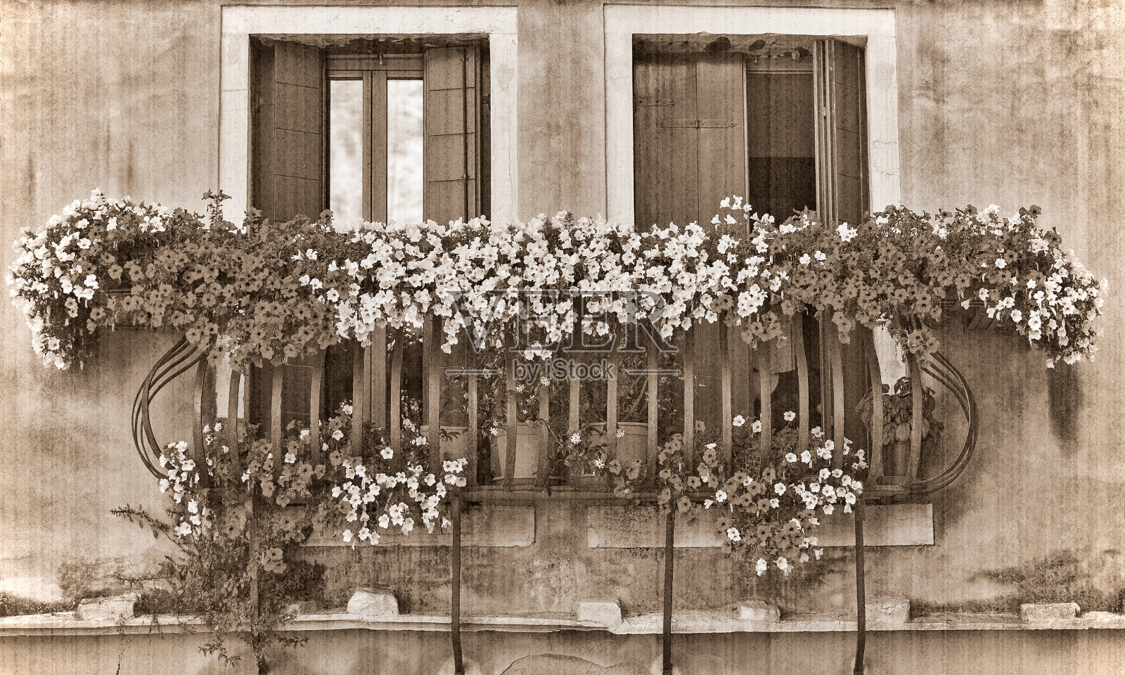 窗口照片摄影图片