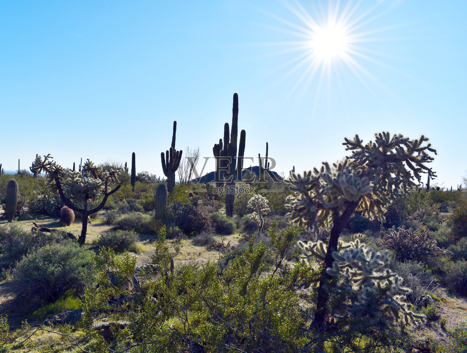 沙漠景观与独特的太阳照片摄影图片
