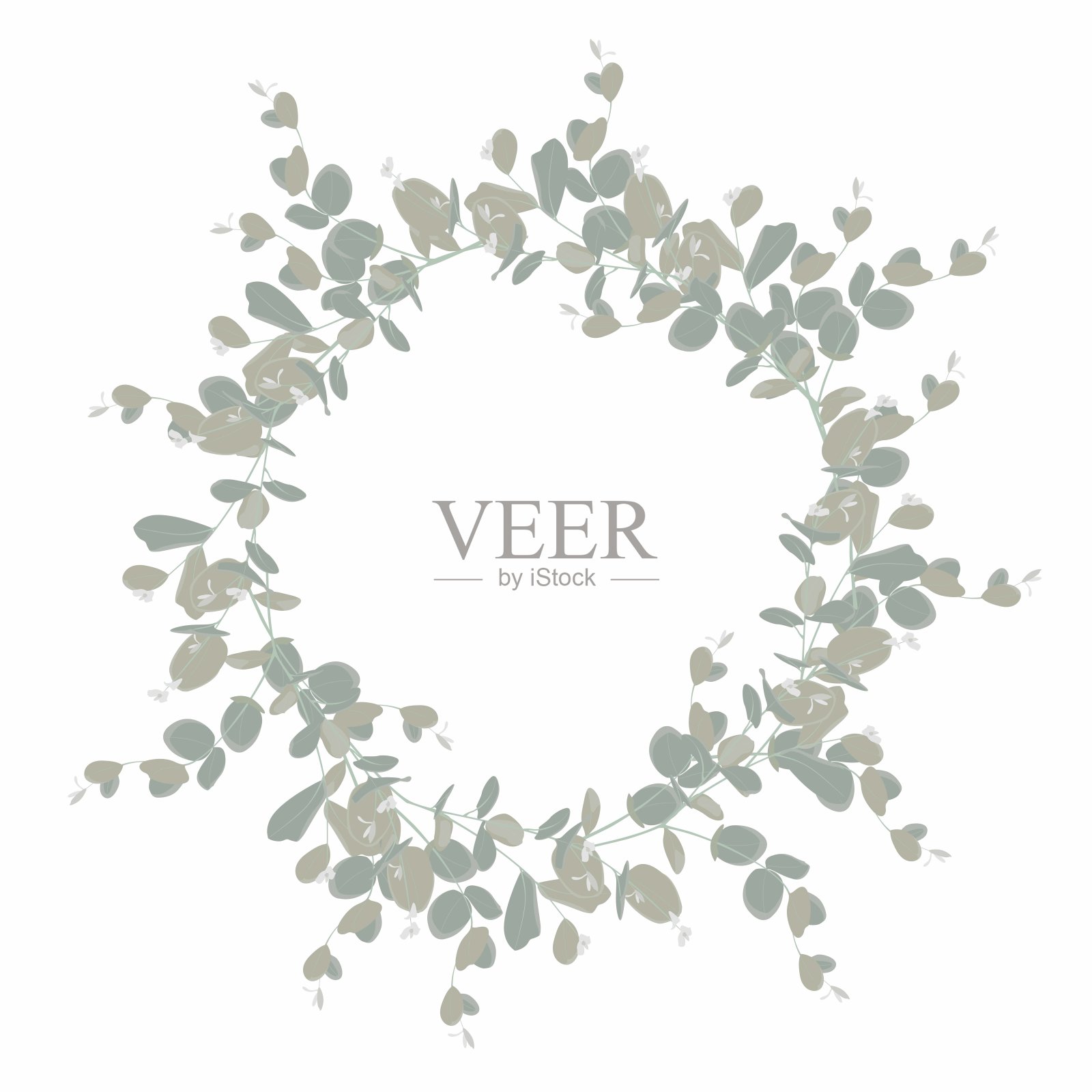 优雅可爱的银桉树花环。治疗药草卡片，婚礼邀请，海报，保存日期或问候设计。插画图片素材