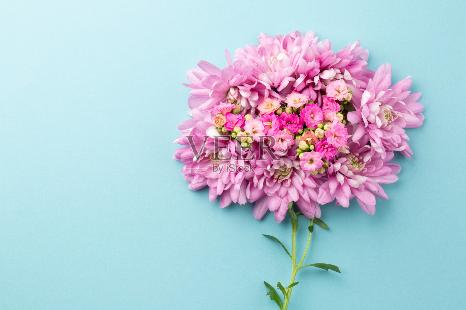 春天的一束粉红色的花在蓝色的背景。情人节、女人节、母亲节或生日的浪漫背景。前视图。空间的文本。照片摄影图片