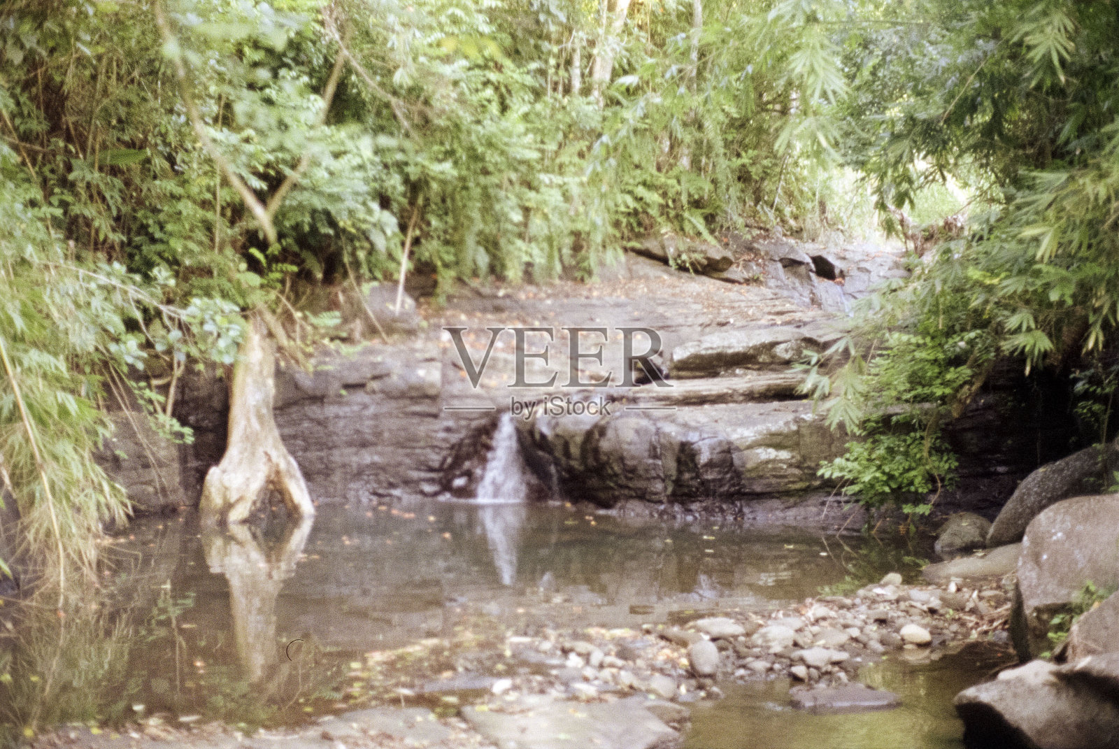 秘密河湾照片摄影图片