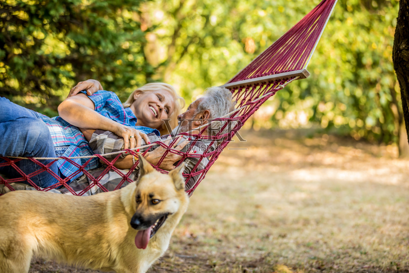 一对相爱的老年夫妇一起躺在吊床上照片摄影图片