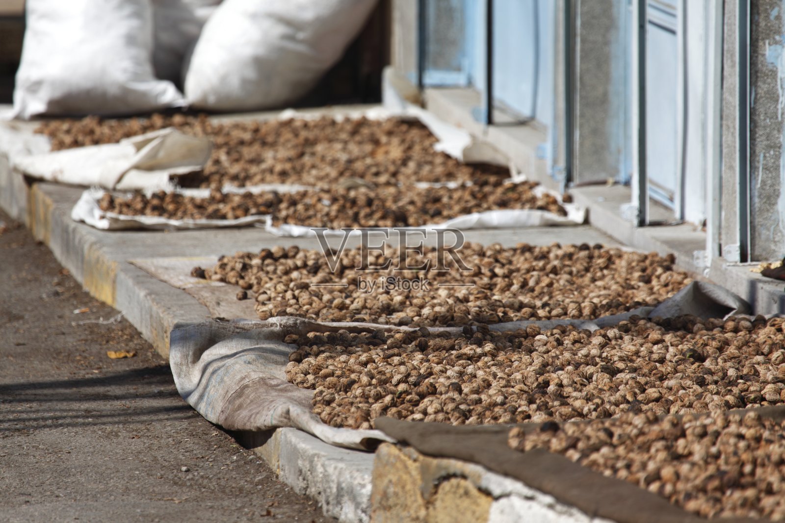 核桃照片摄影图片