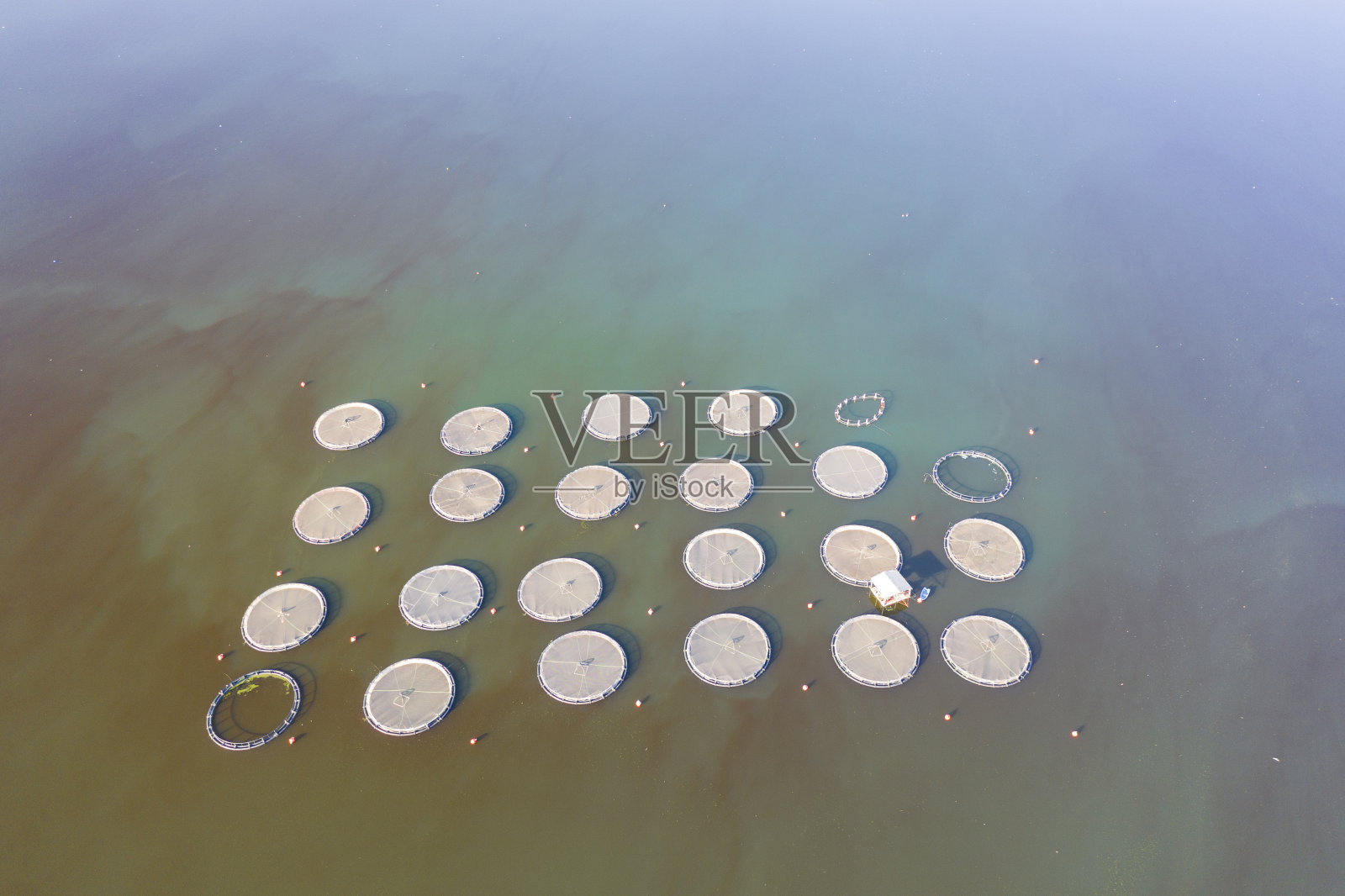 渔场鸟瞰图照片摄影图片