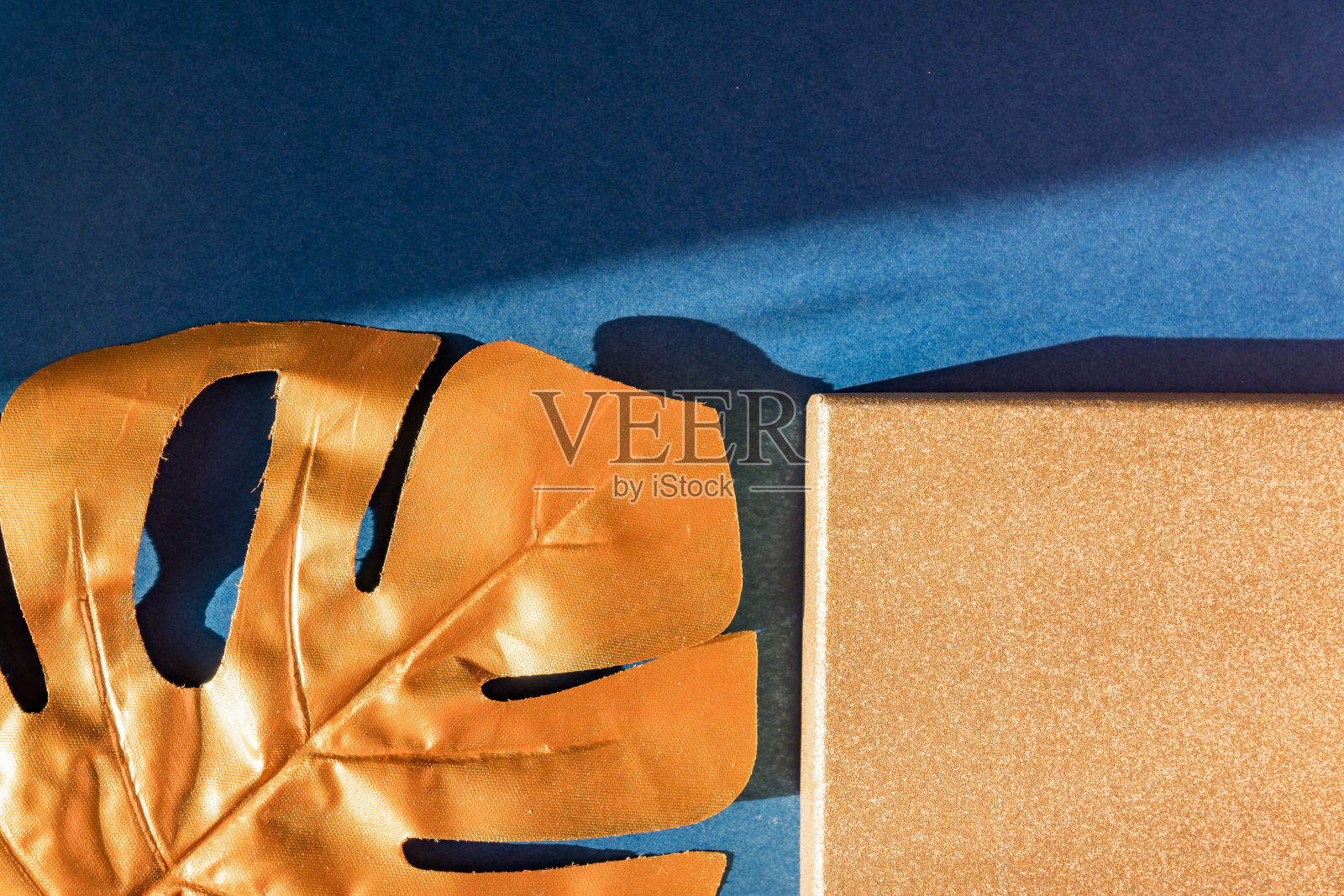 时尚奢华的蓝色背景与金色的怪物叶。文本复制空间照片摄影图片