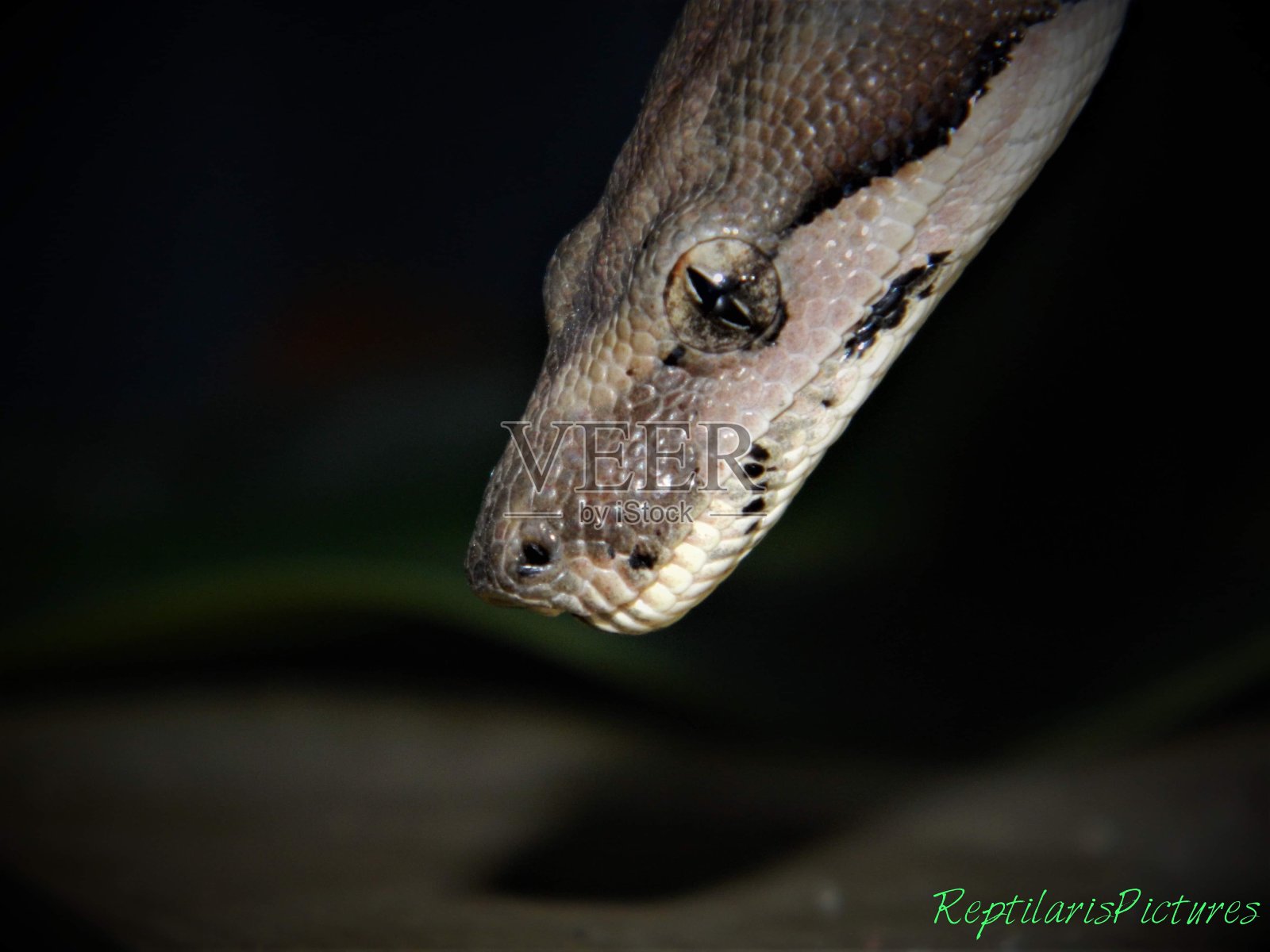 摘要美国银行照片摄影图片