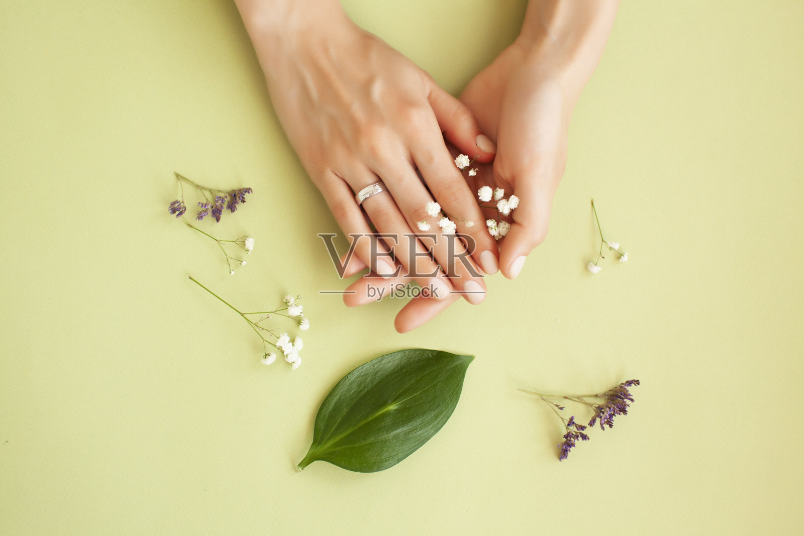 白色美甲和鲜花，绿色背景下的漂亮女人手部，水疗概念照片摄影图片