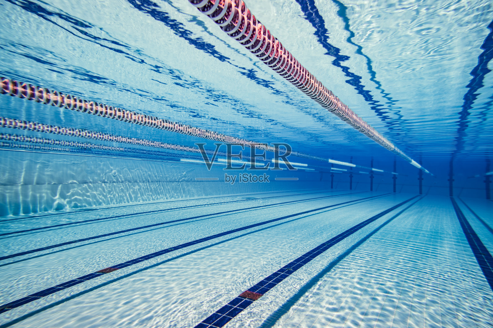 水下奥林匹克游泳池背景照片摄影图片