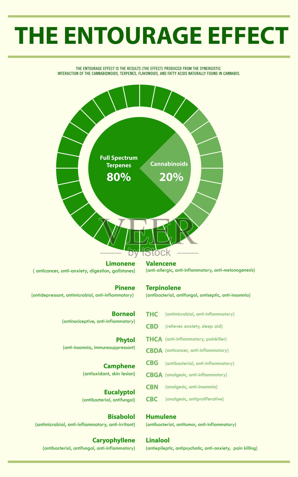 随从效应比例垂直信息图表插画图片素材