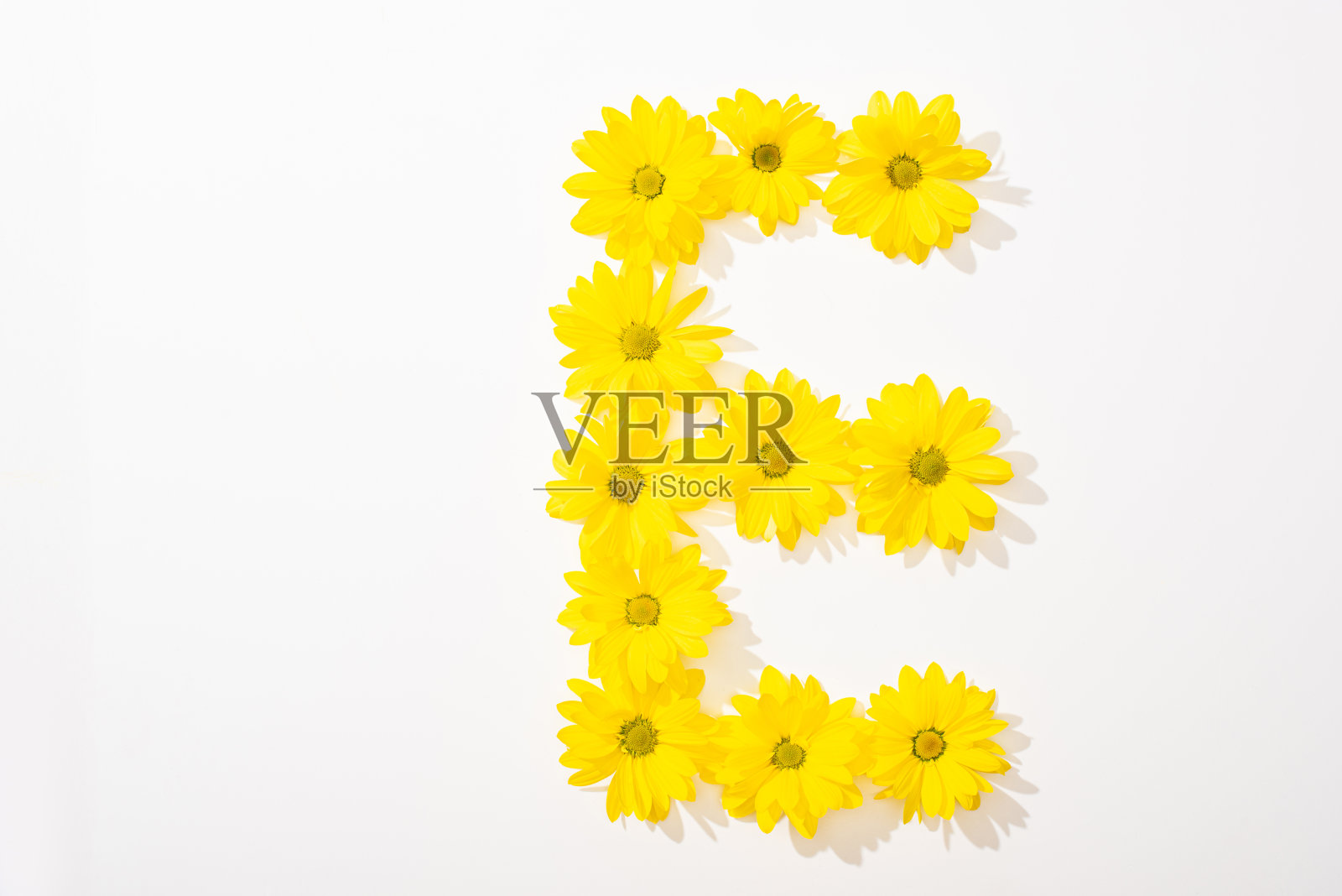 俯视图的黄色雏菊排列在字母E在白色的背景照片摄影图片