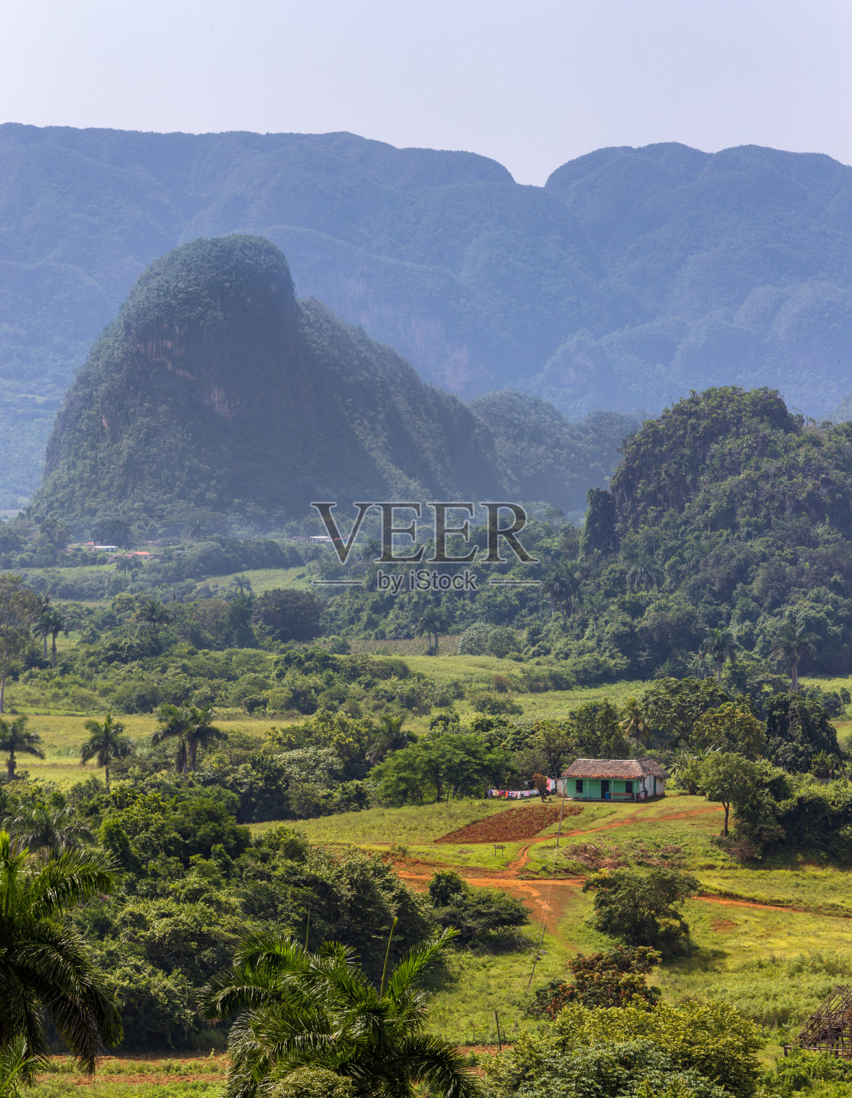 ViÃ±ales，古巴的山谷，世界上最好的烟草来自那里照片摄影图片