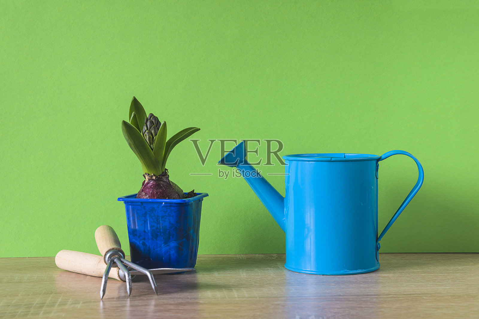 春园艺组成照片摄影图片