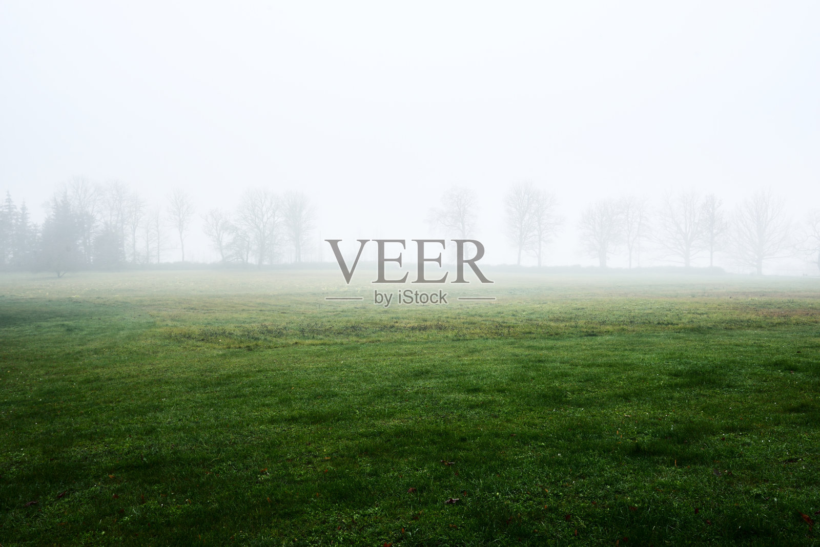 清晨大雾中一片空旷的农田。森林和房屋的背景。国家风景。波兰照片摄影图片