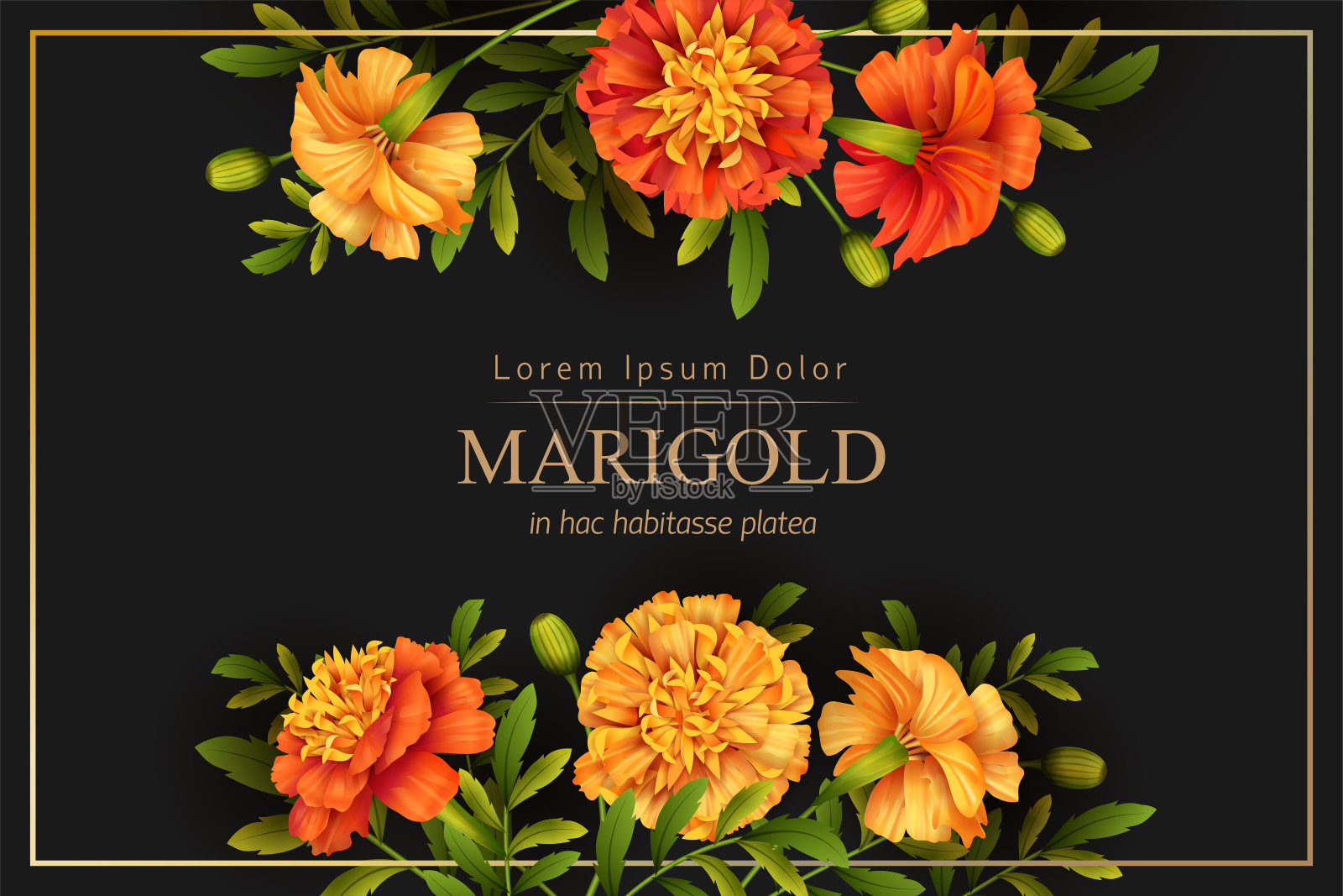 花的节日背景设计模板素材