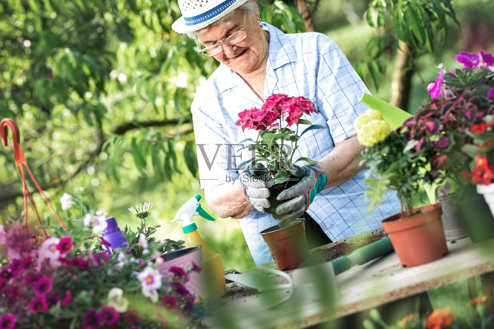 园艺是她的热情照片摄影图片