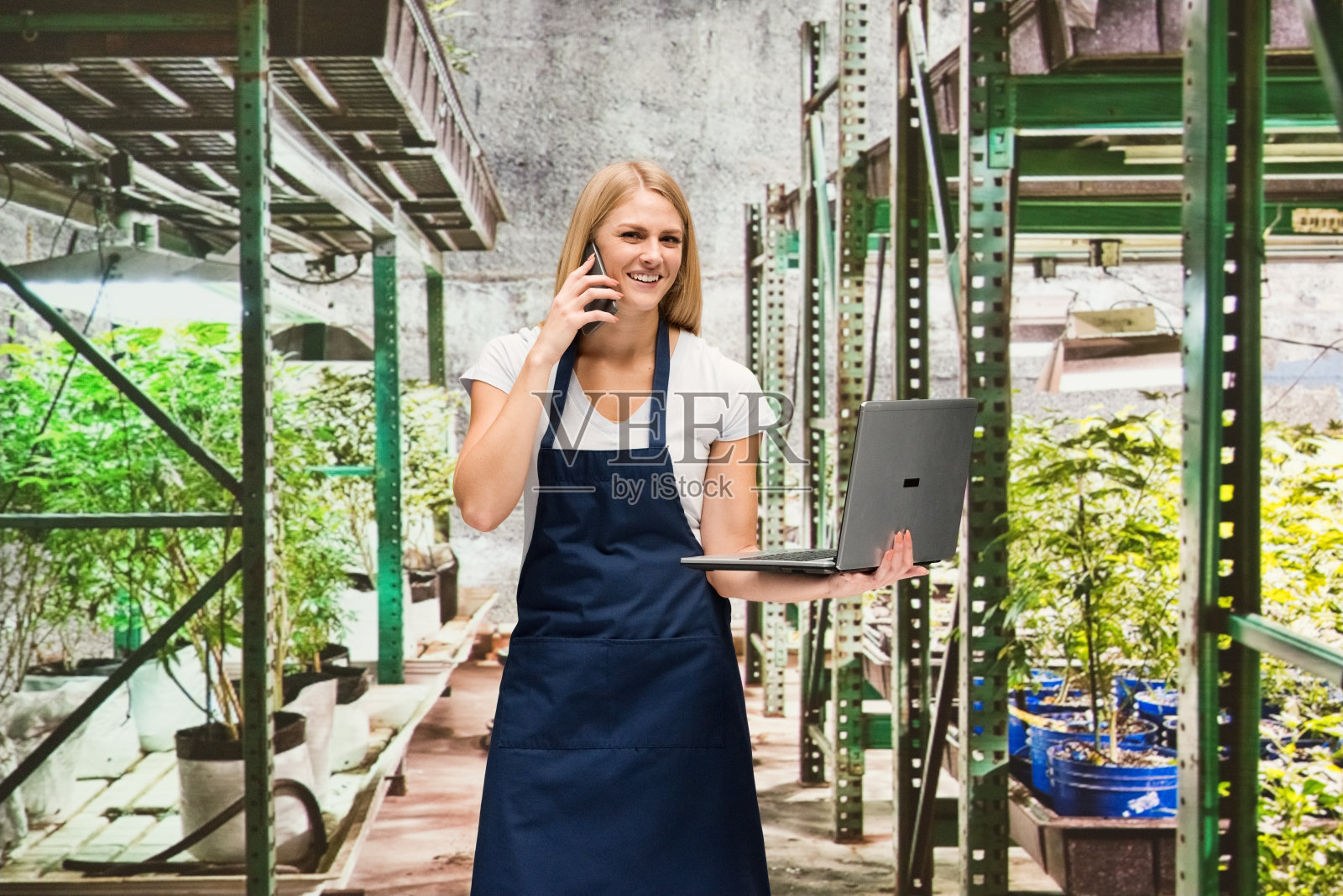 年轻的白人妇女站在温室的农场里，穿着围裙，拿着大麻，使用电脑照片摄影图片